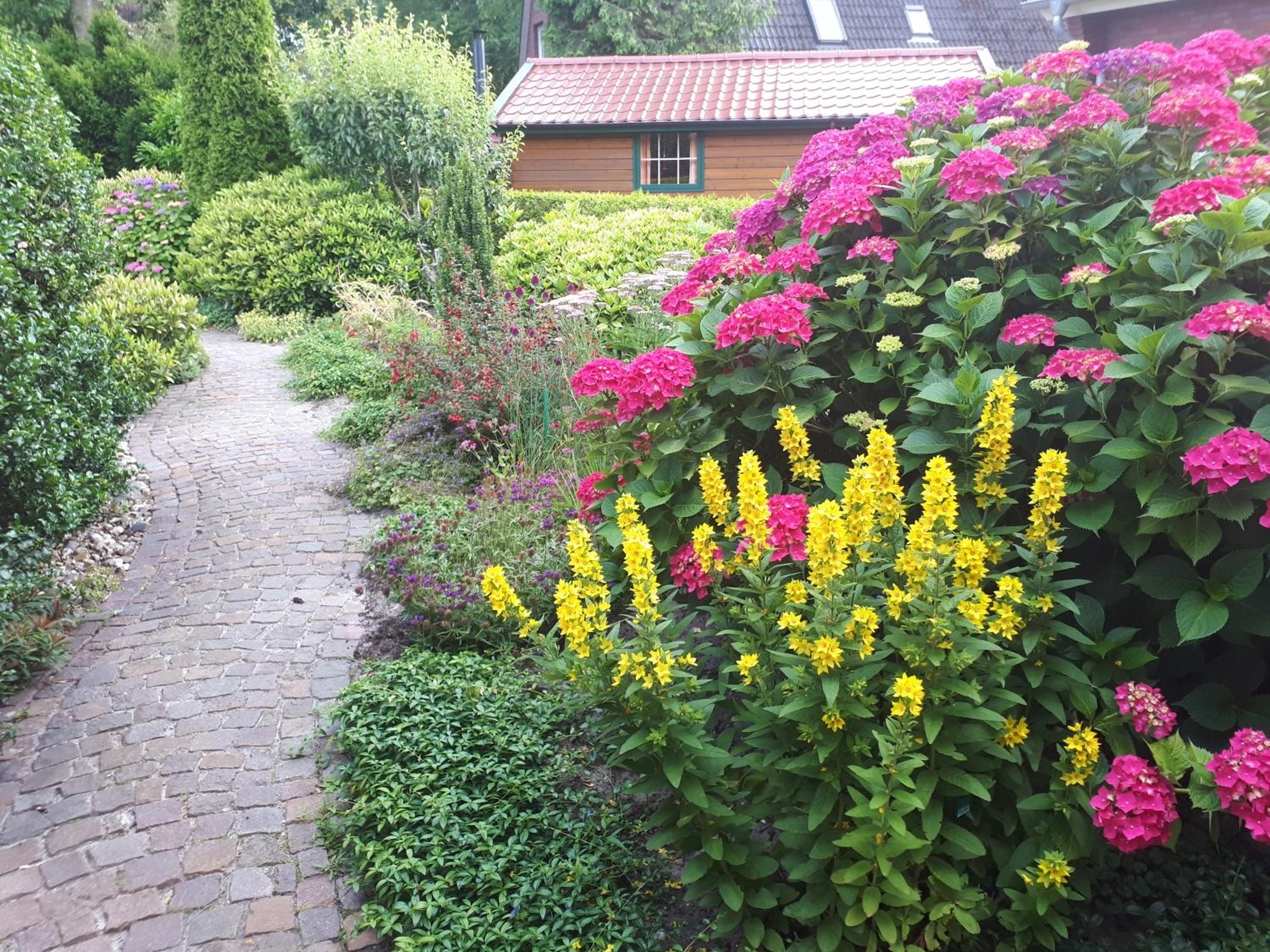 Photo 38