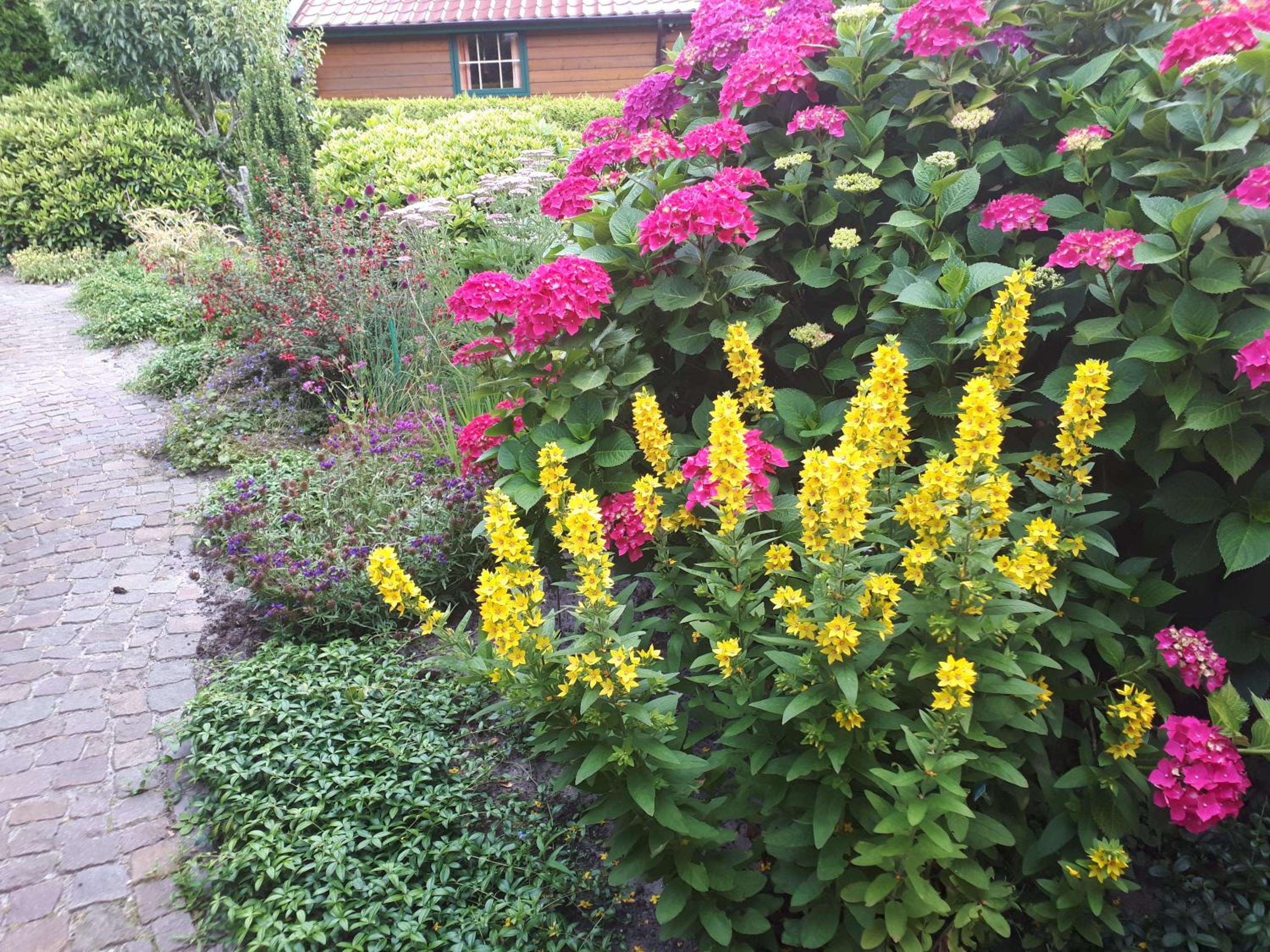 Photo 16