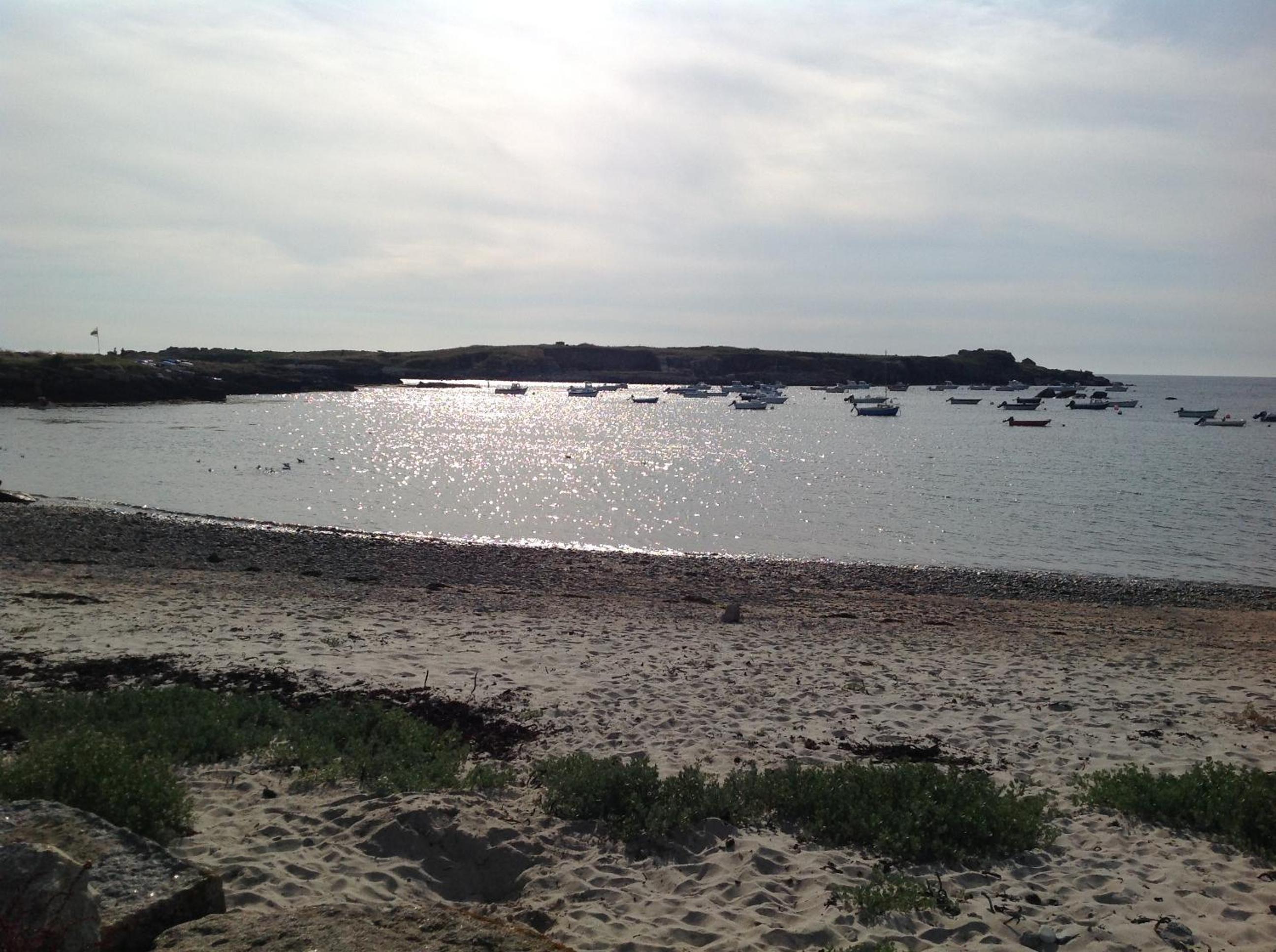 Photo 29