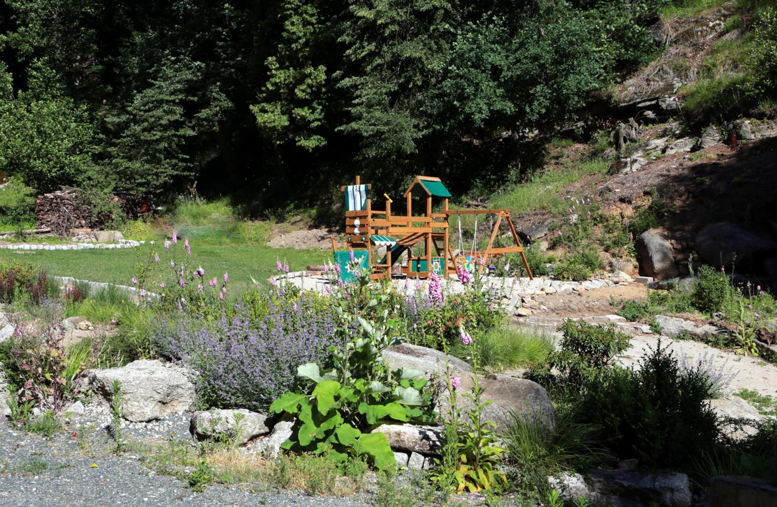 Photo 12