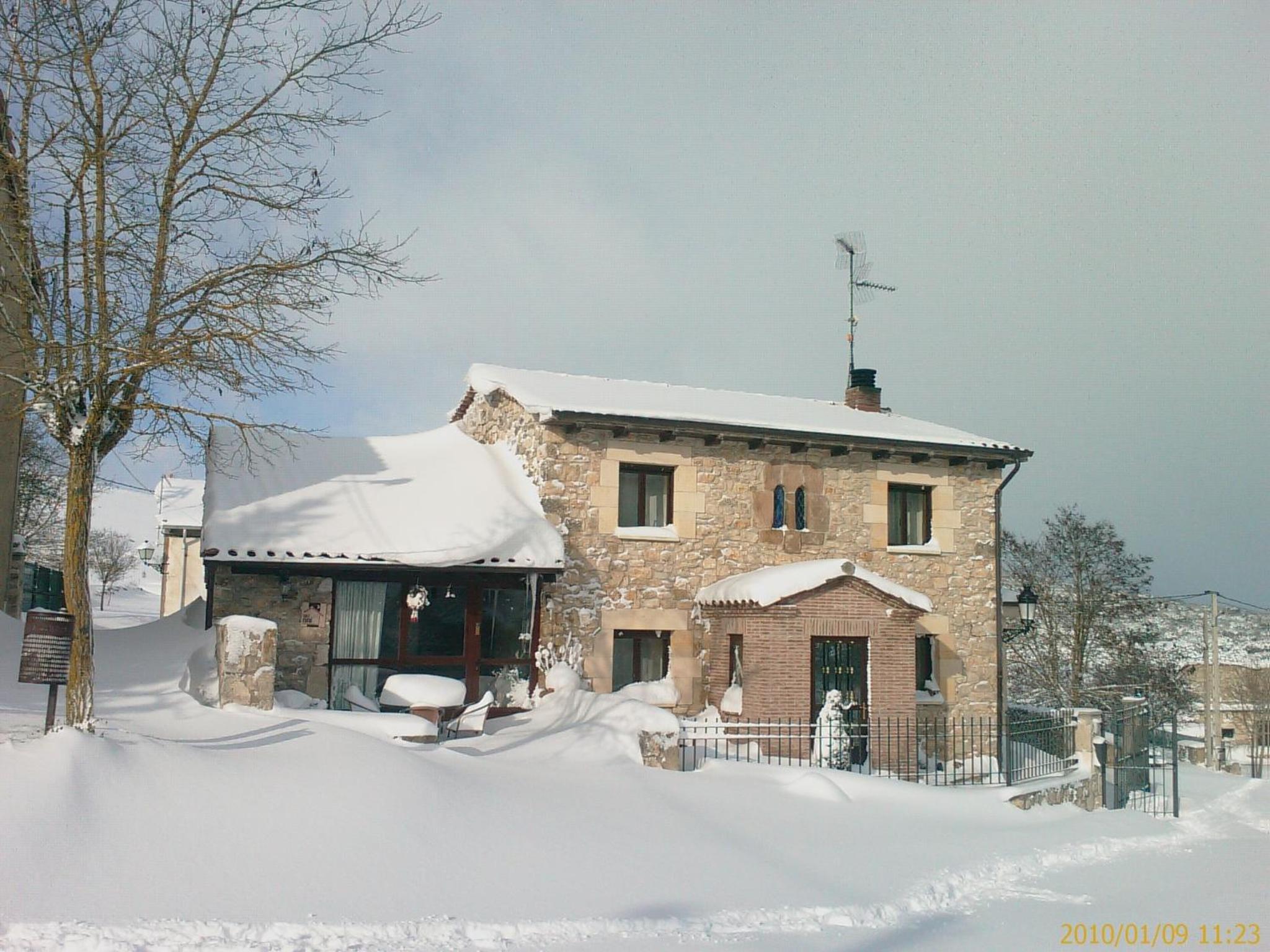 Photo 4
