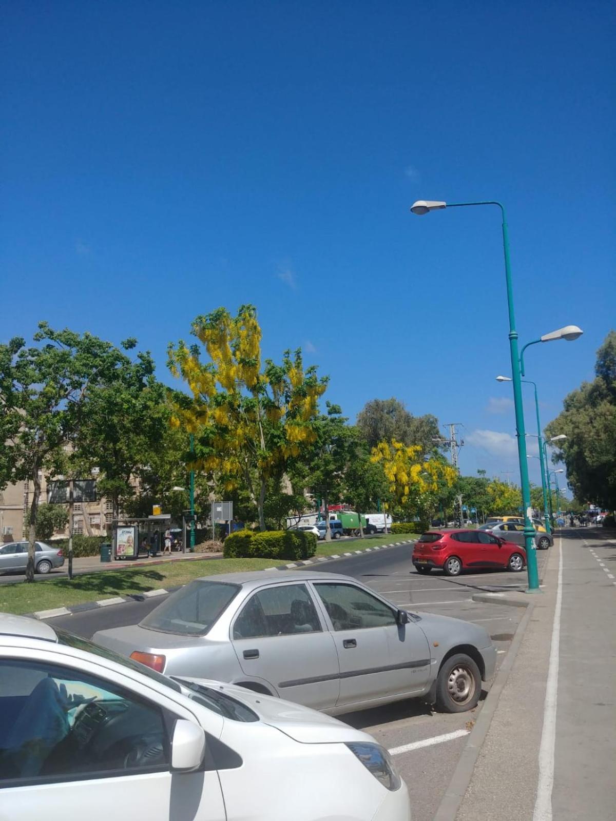 Photo 32