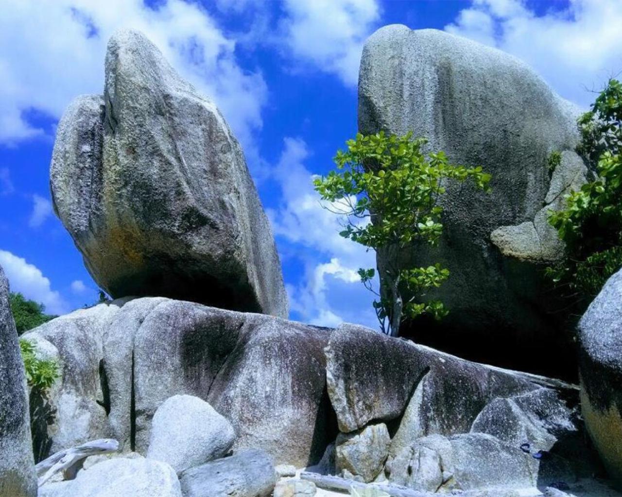 Photo 18