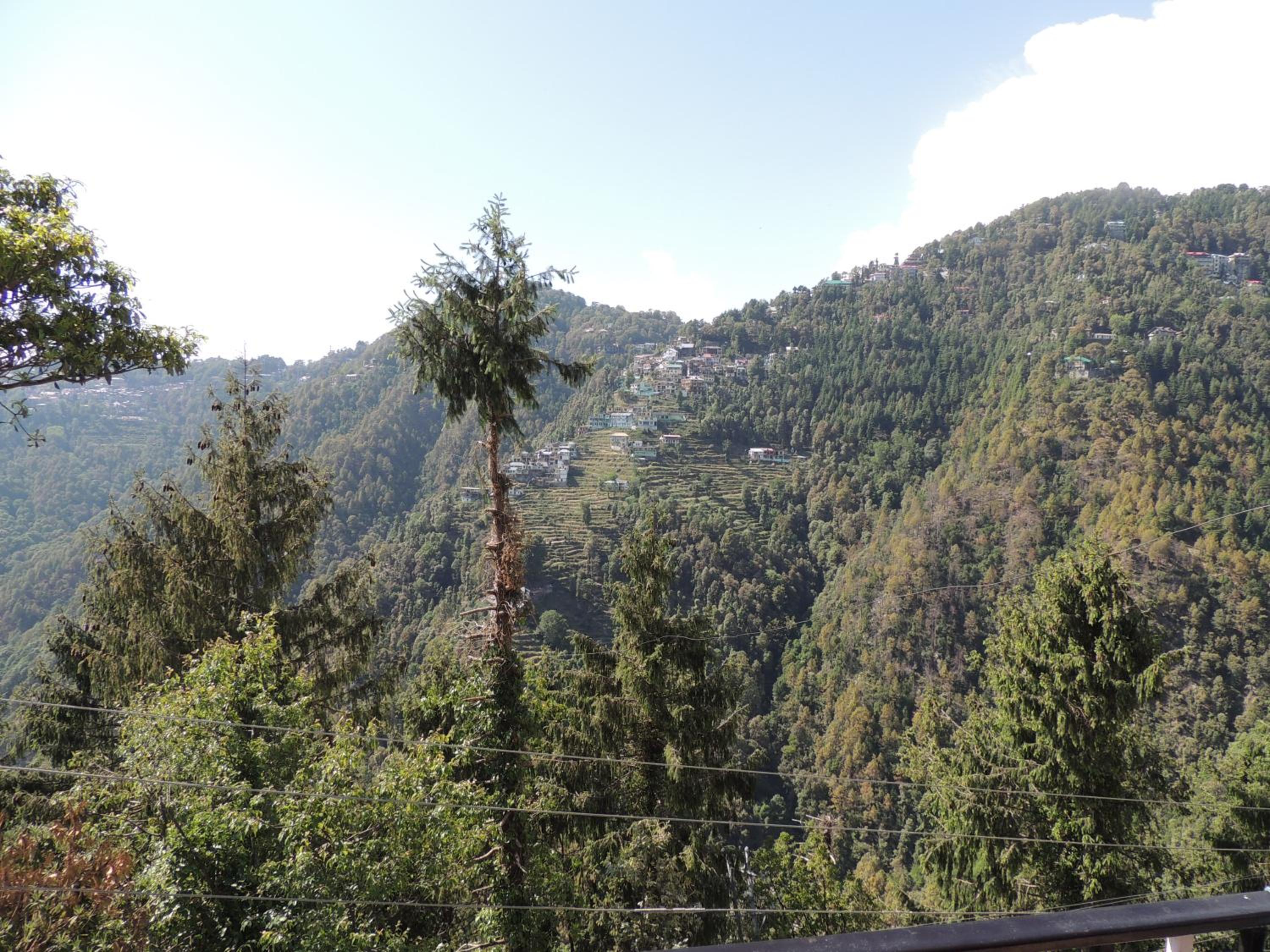 Peaceful Dalhousie