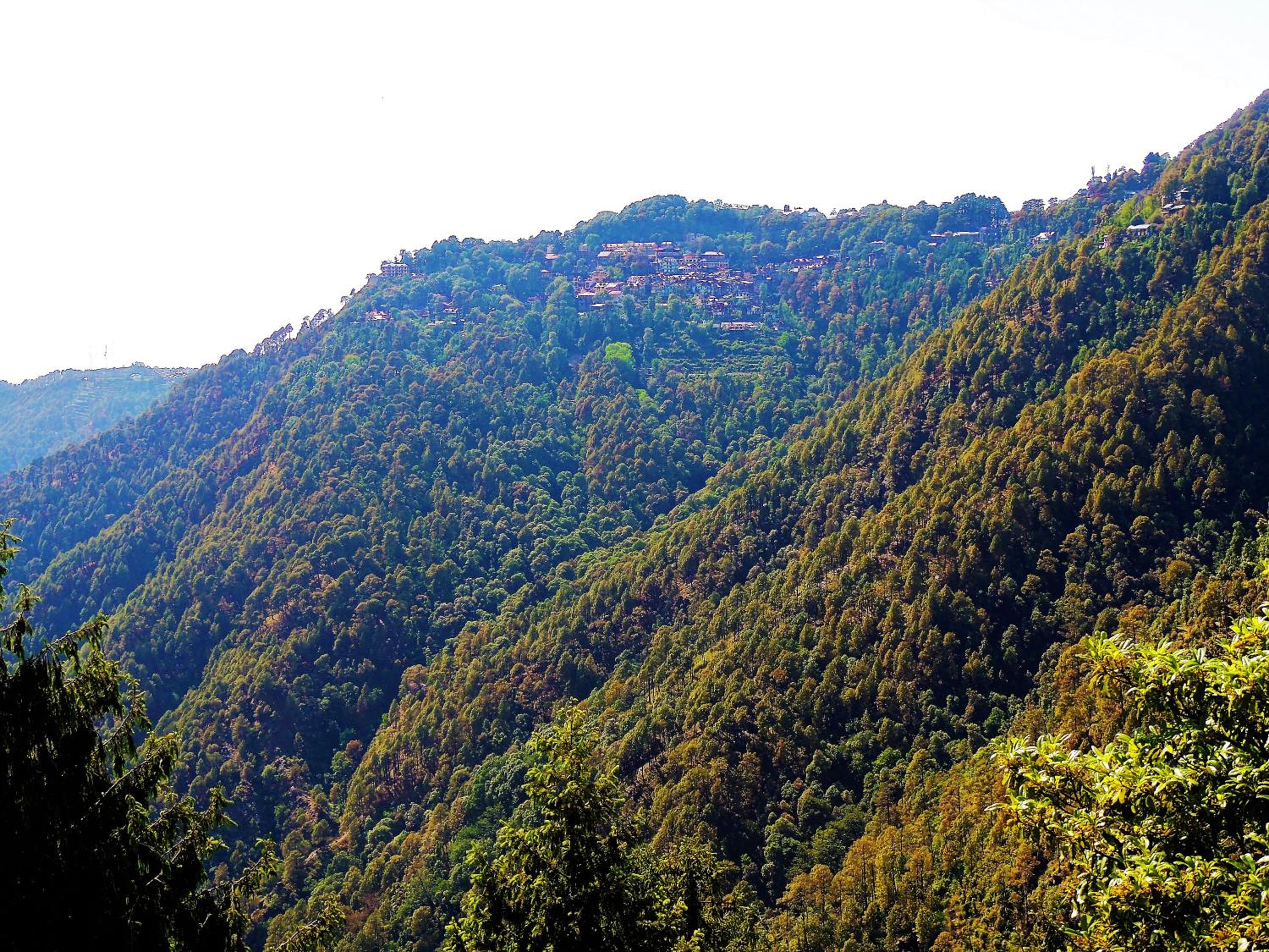 Peaceful Dalhousie