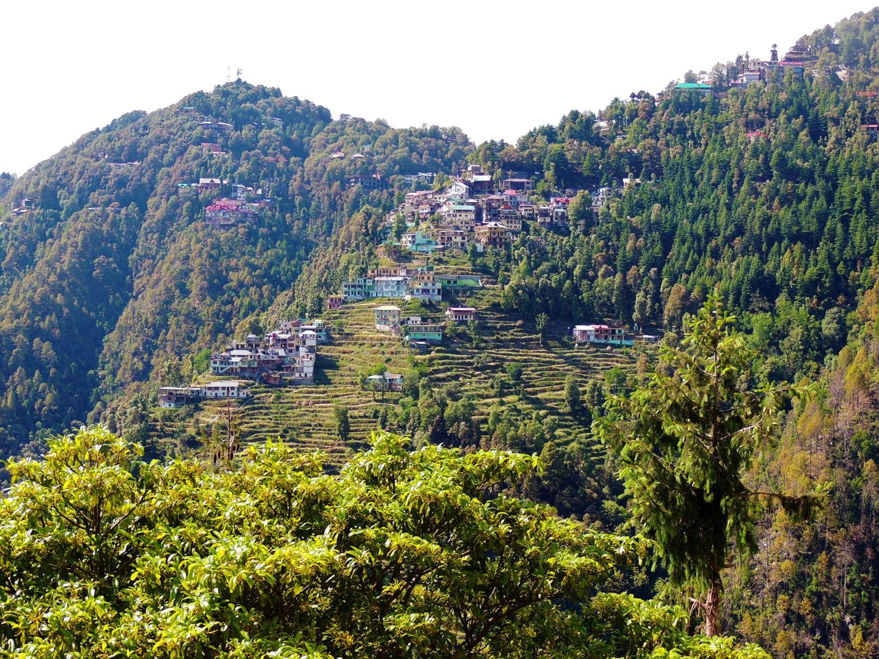 Peaceful Dalhousie