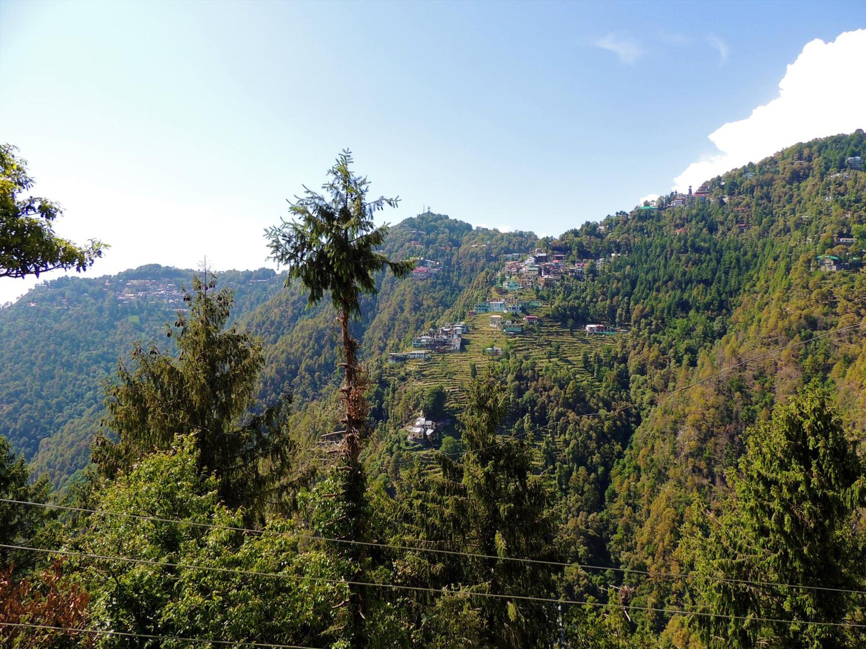 Peaceful Dalhousie
