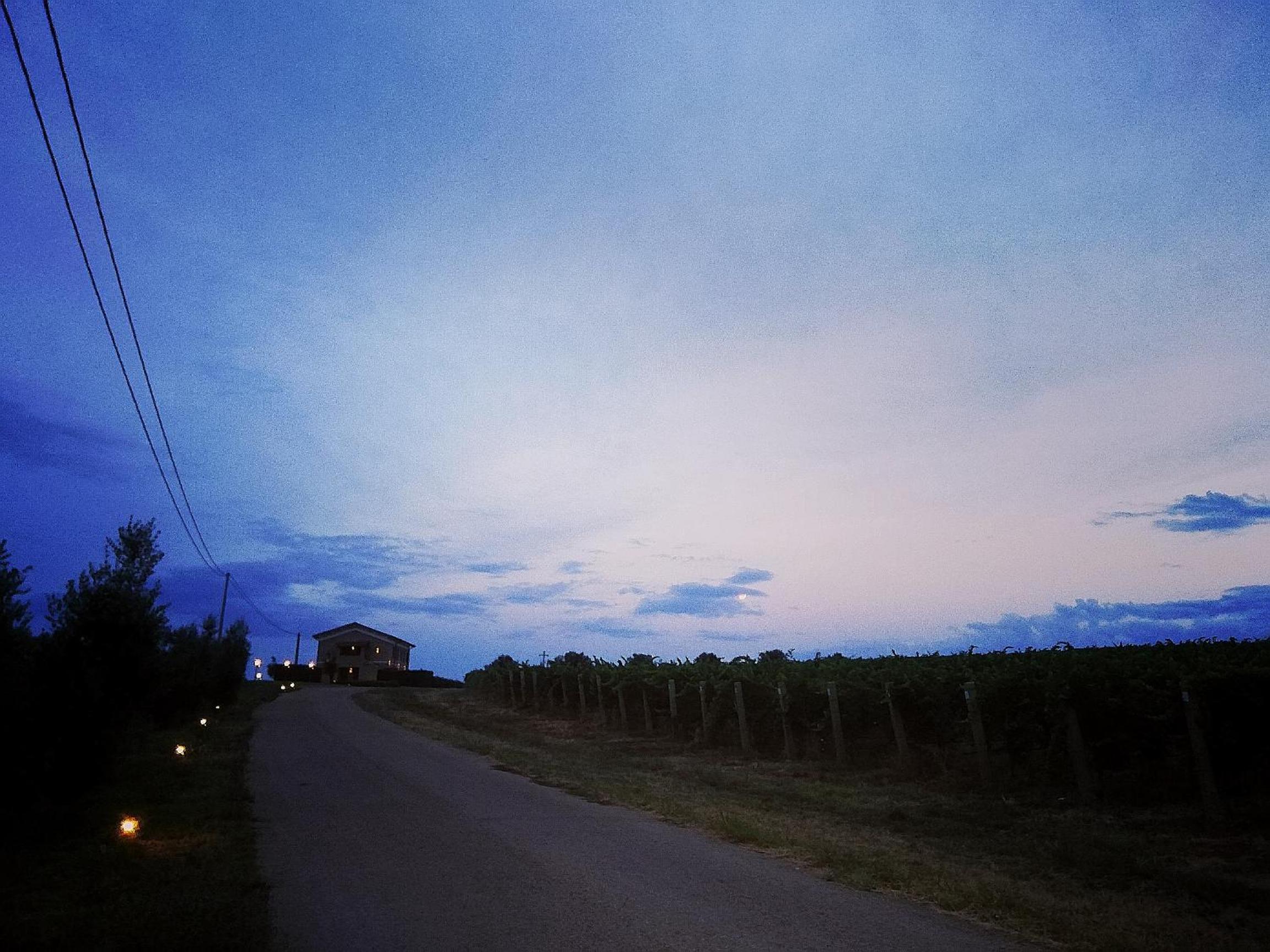 Il Casale degli Ulivi - Agriturismo - TENIMENTI LEONE