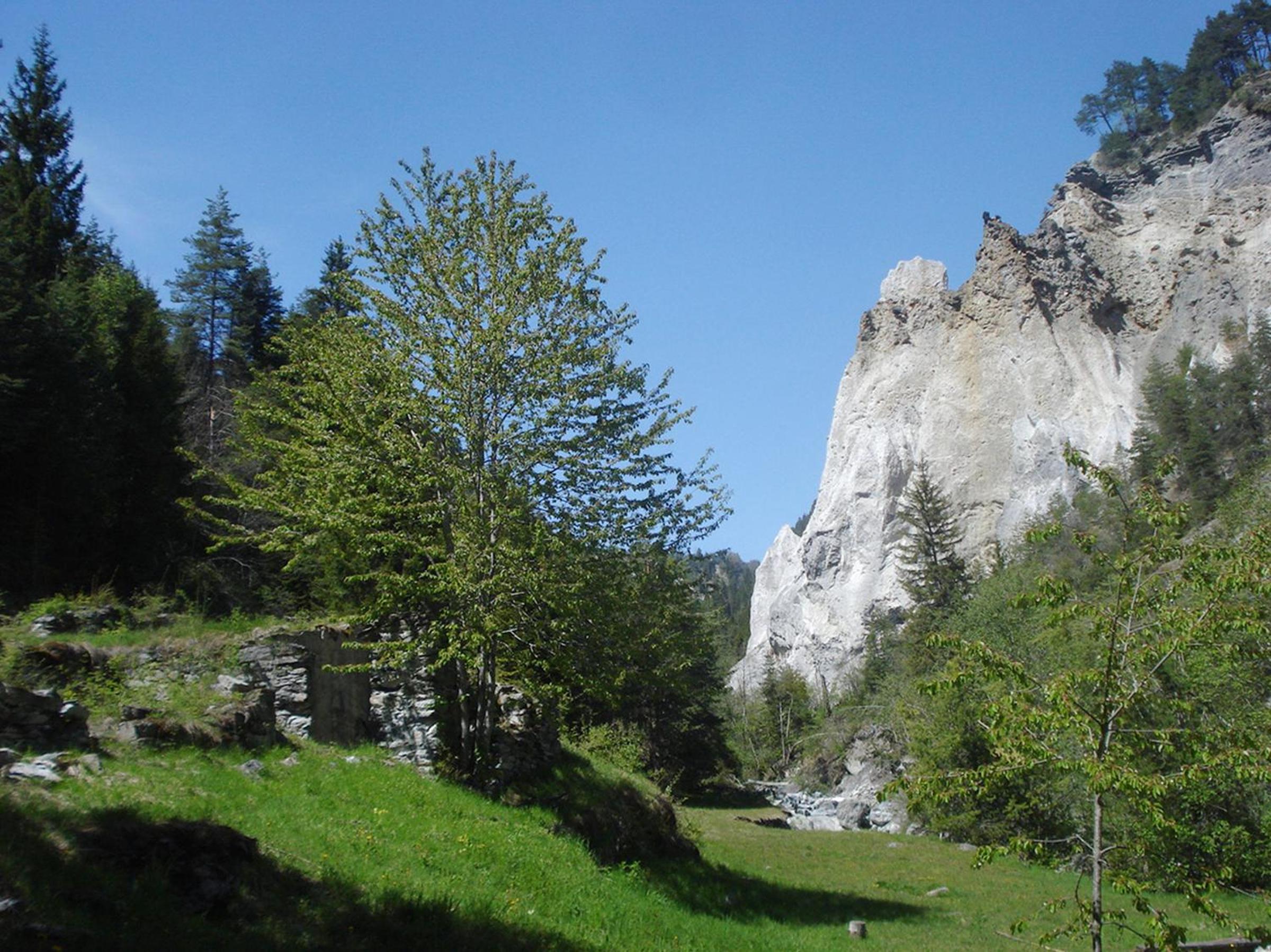 Apartment Piz Mundaun