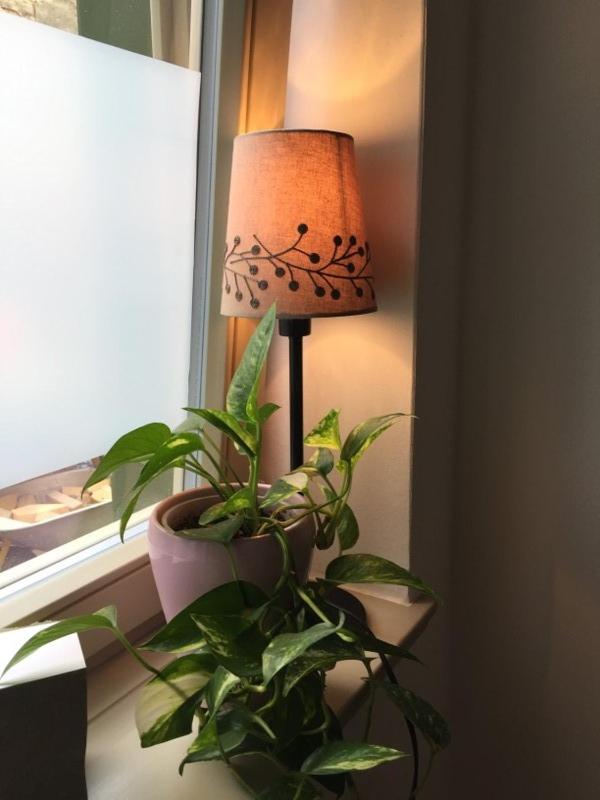 Potsdam Vacations - Ferienwohnung Kamp "Blick ins Grune" - Property Image 25