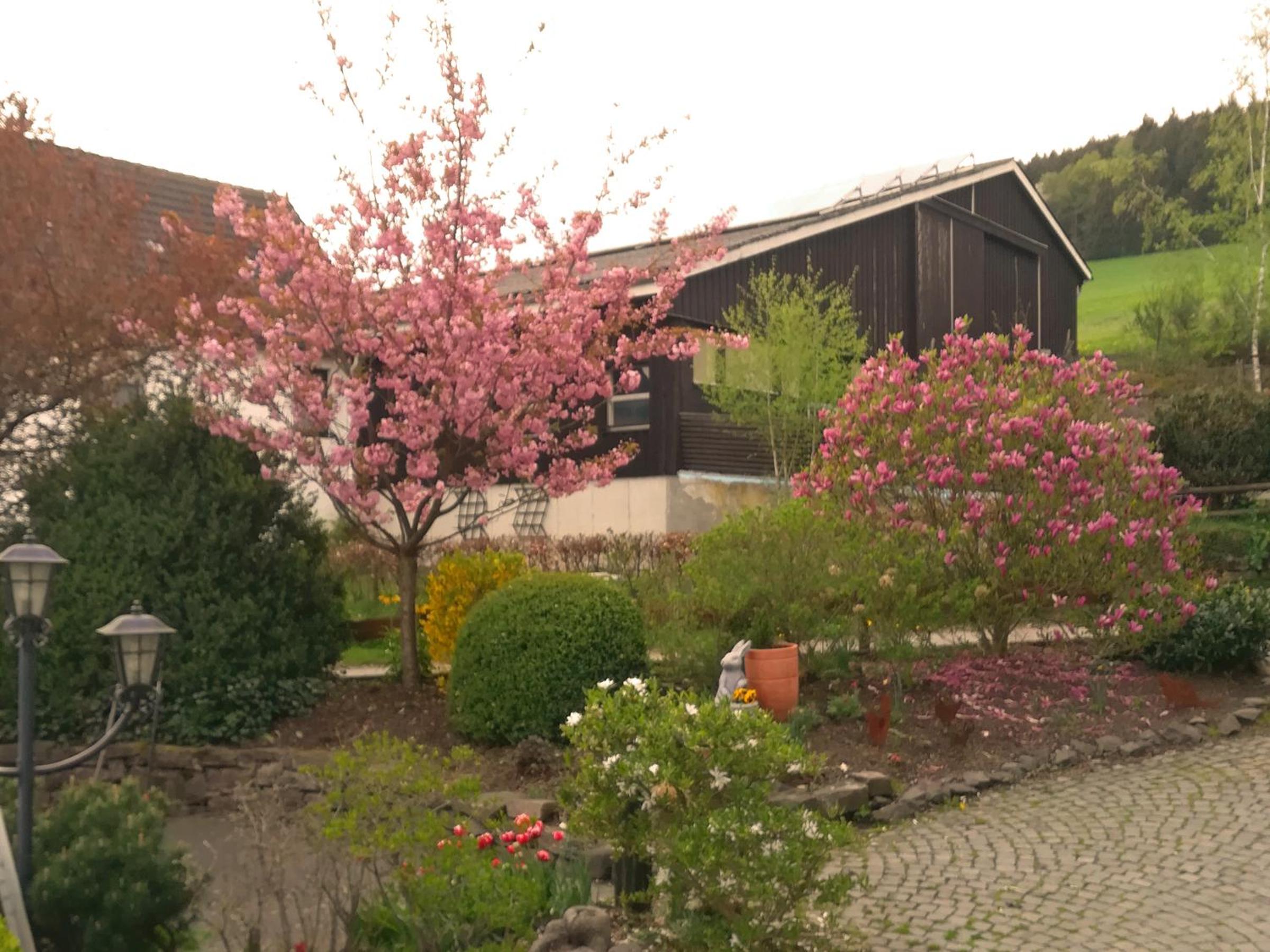 Bauernhofpension Wiebelhaus-Mester