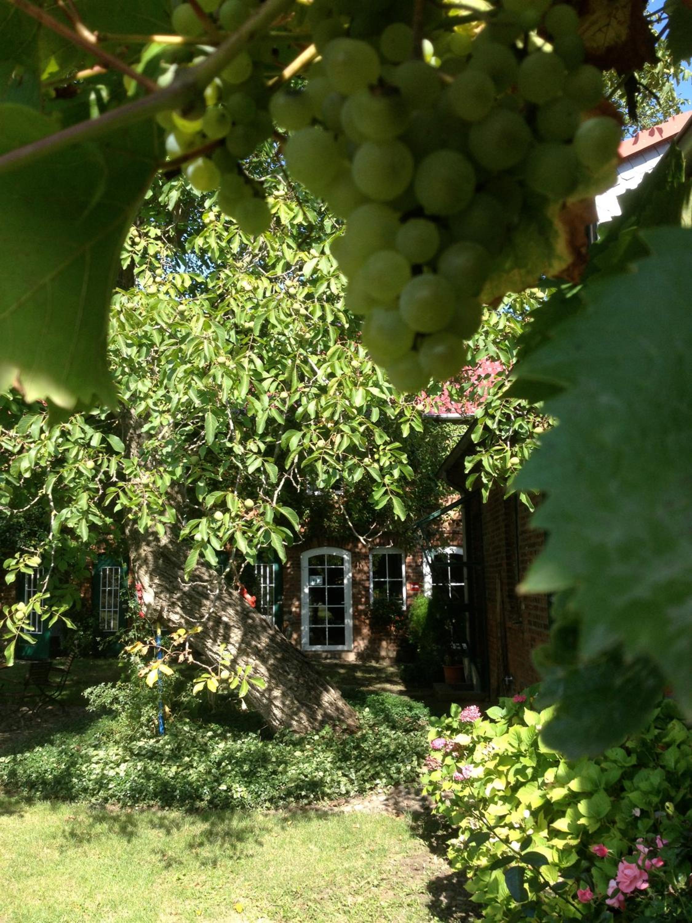 Pension Kunsthof Dahrenstedt