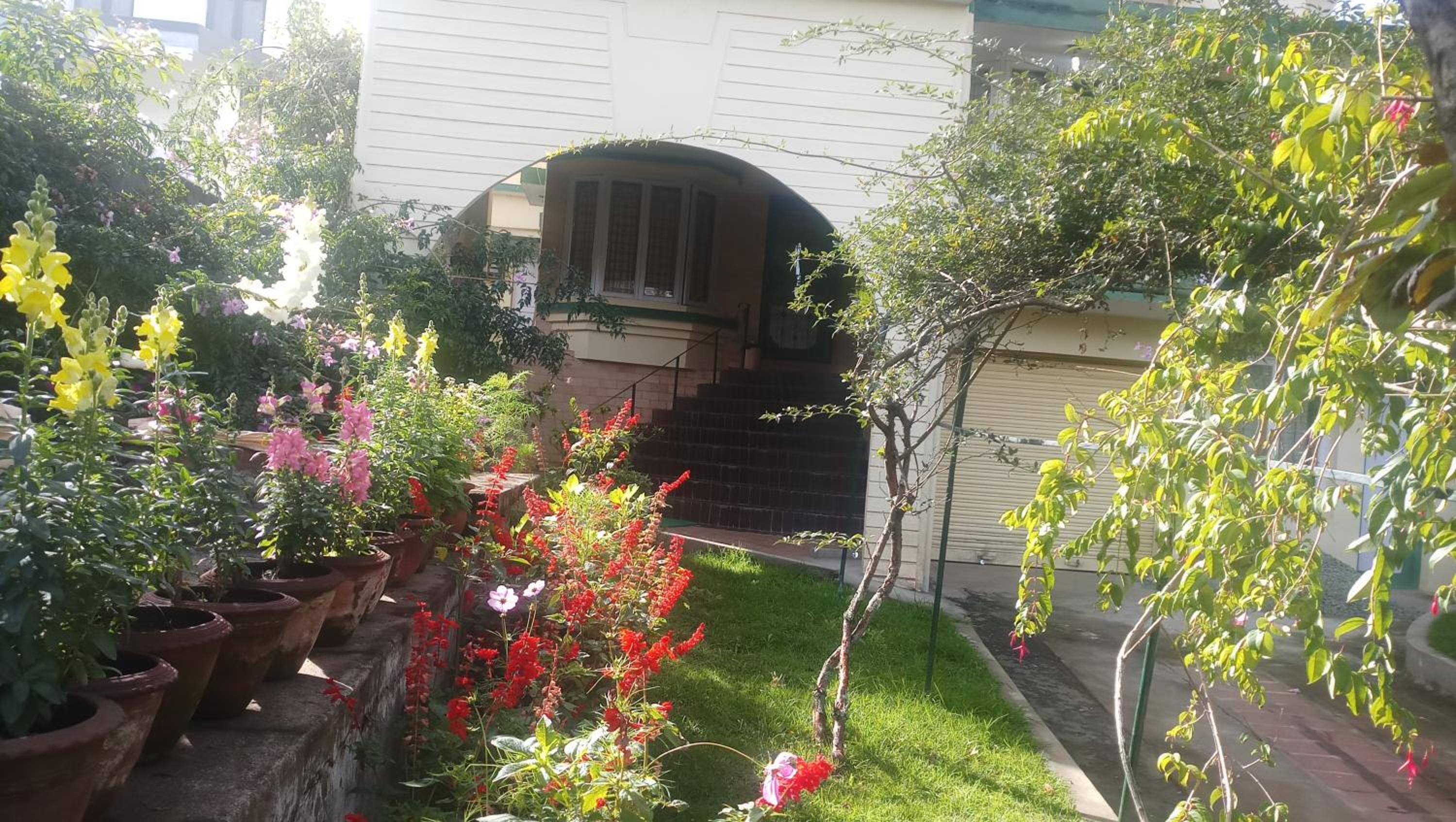 Green Woods Homestay view 3