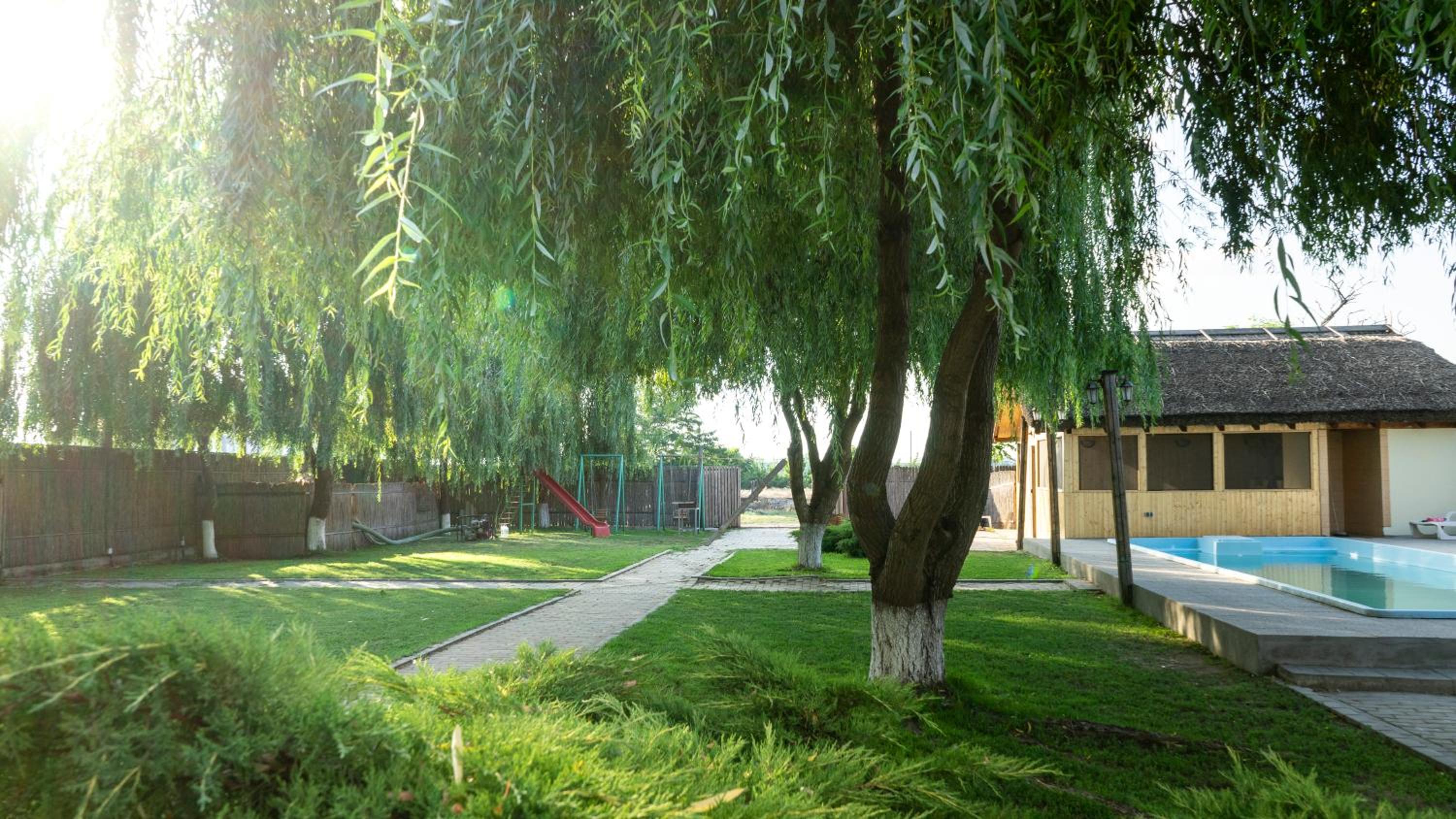 Photo 11