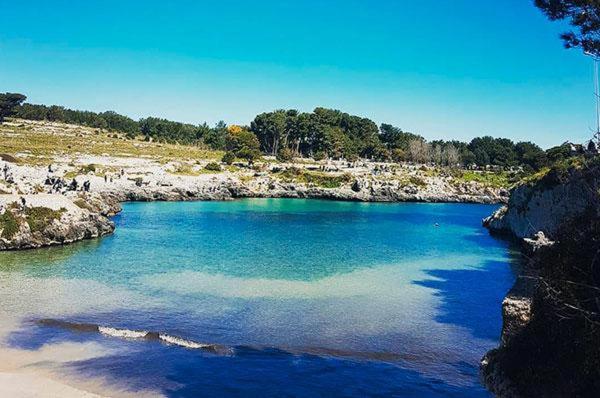 Photo 55