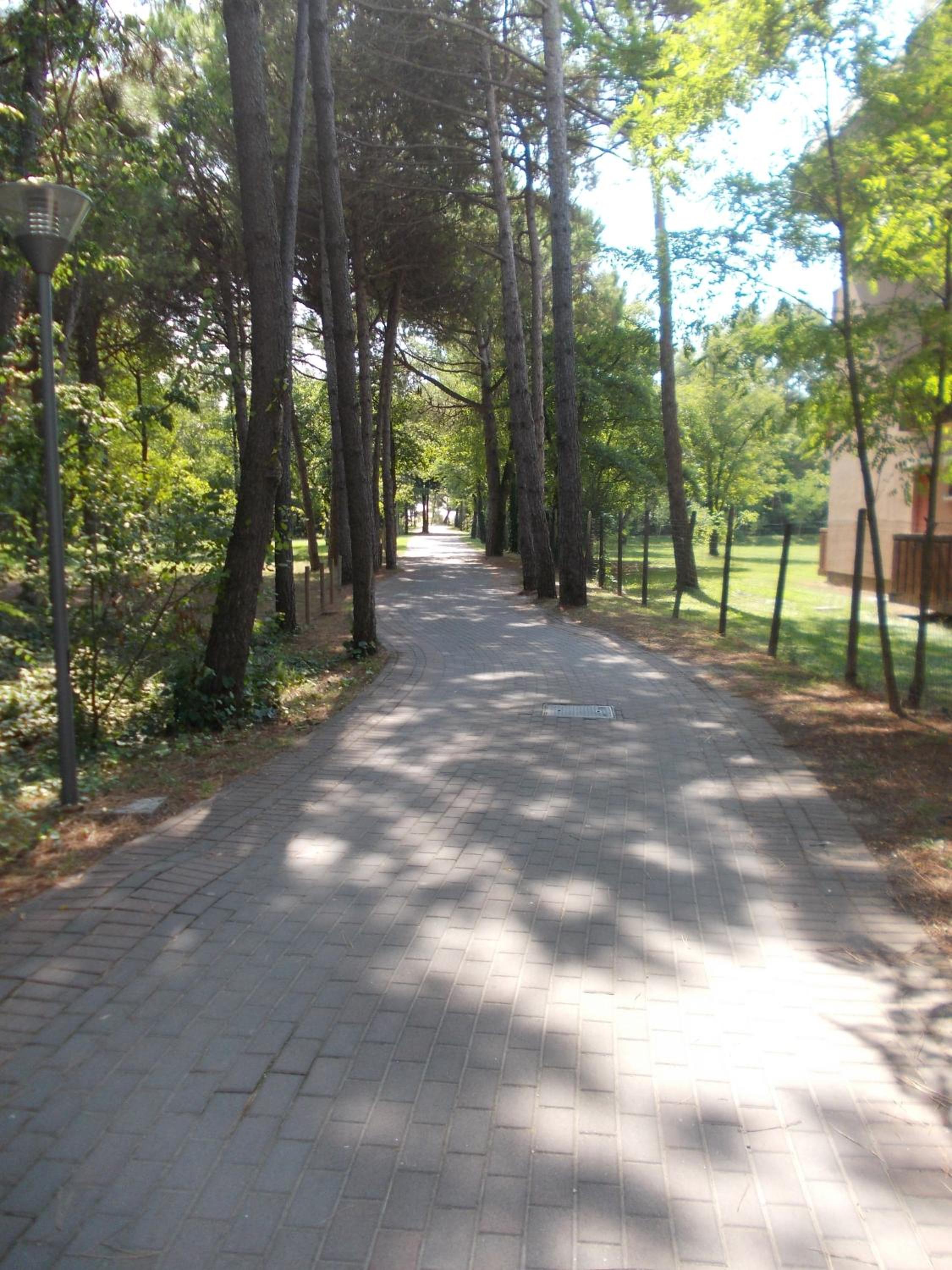 Photo 37