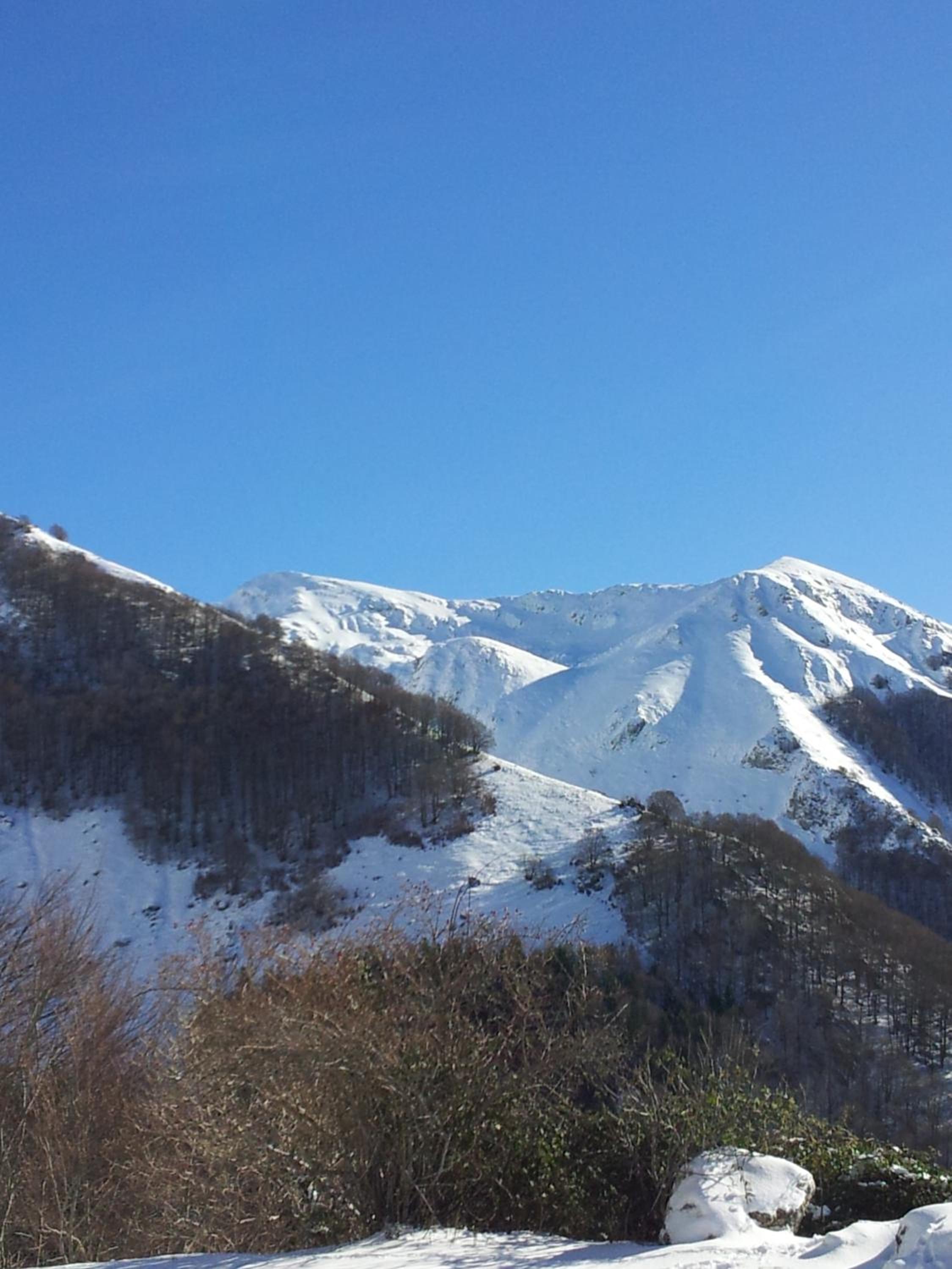Rifugio Del Pettirosso