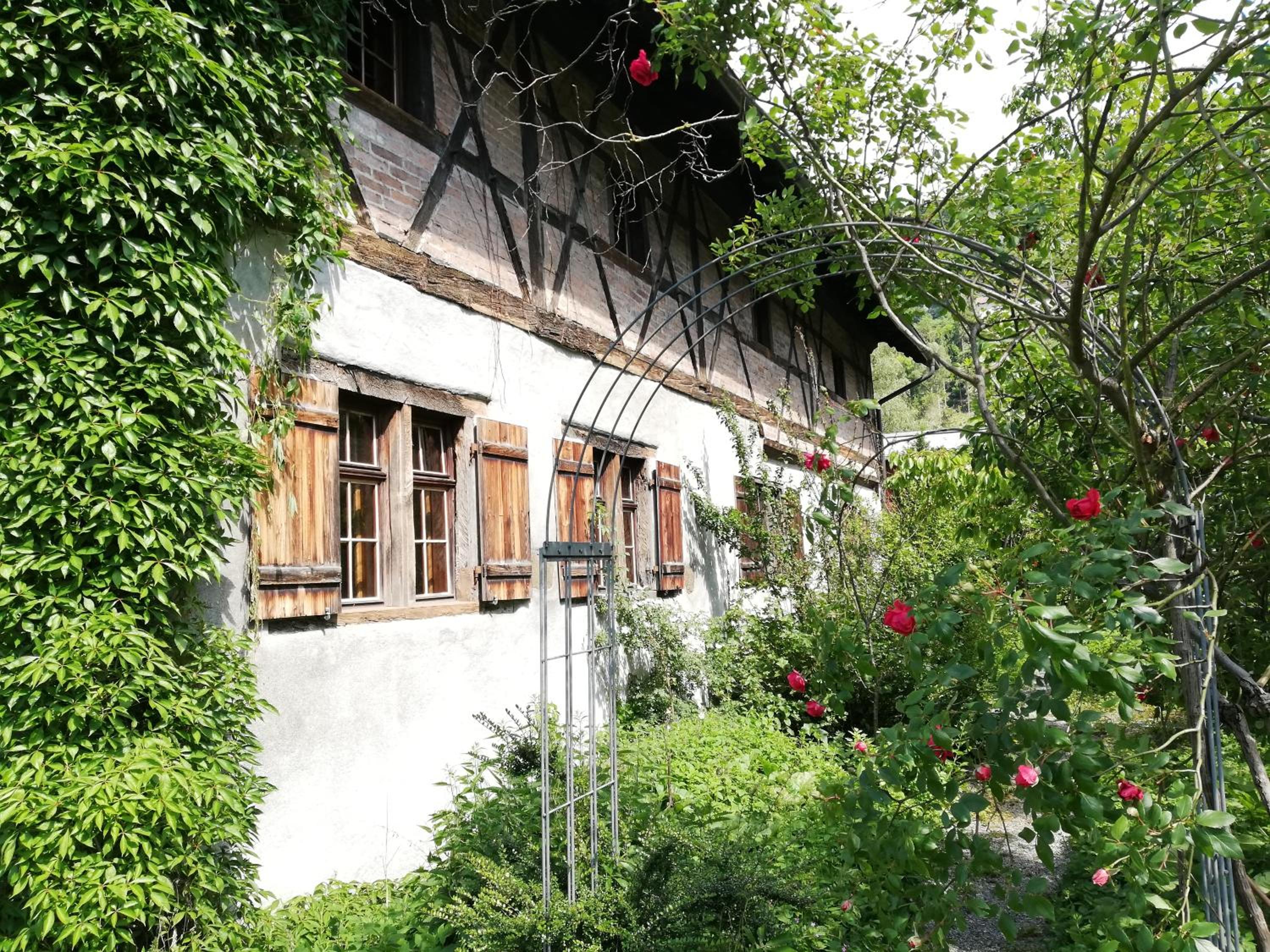 Photo 8