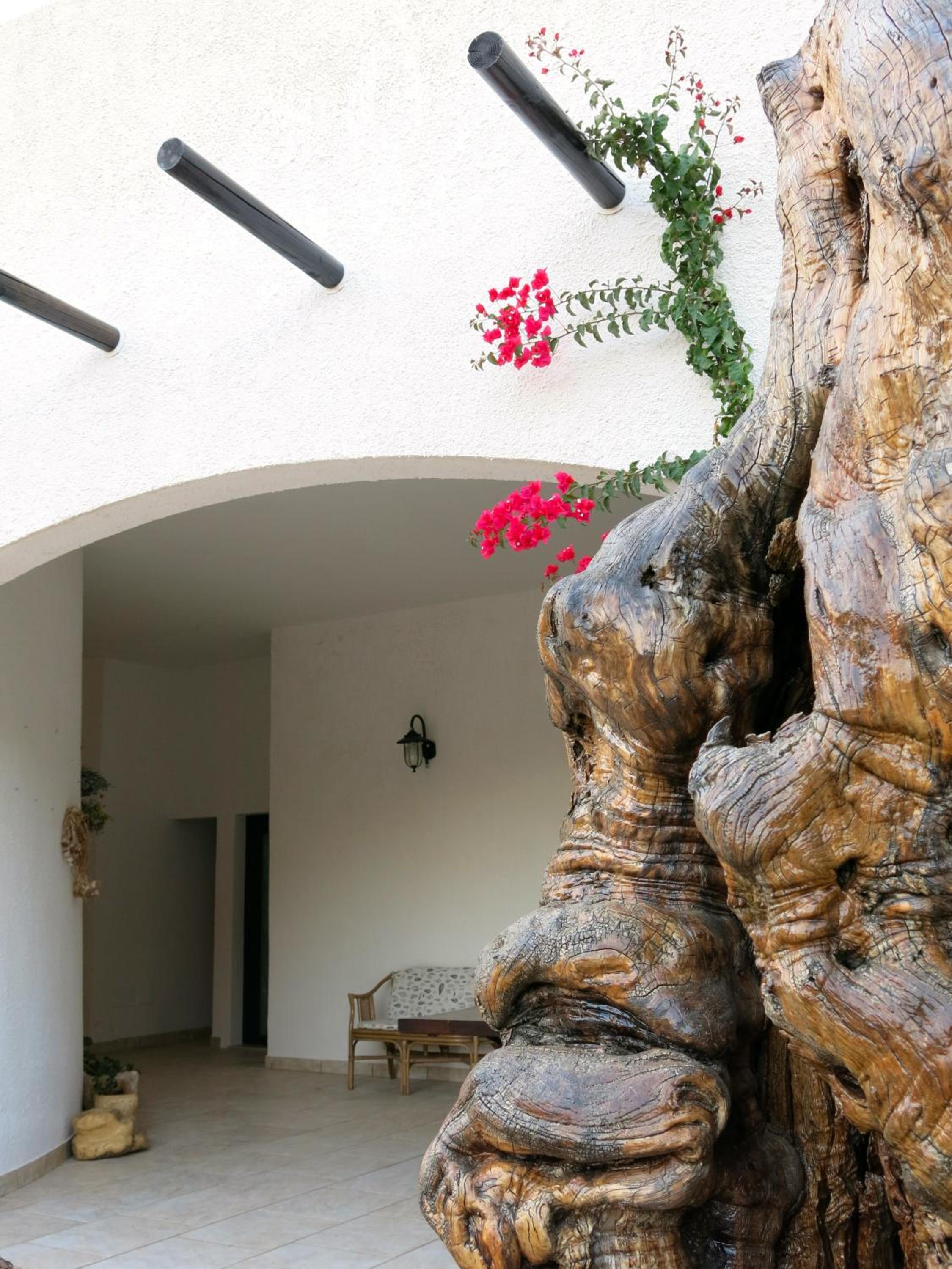 Agriturismo Tenuta Del Morige