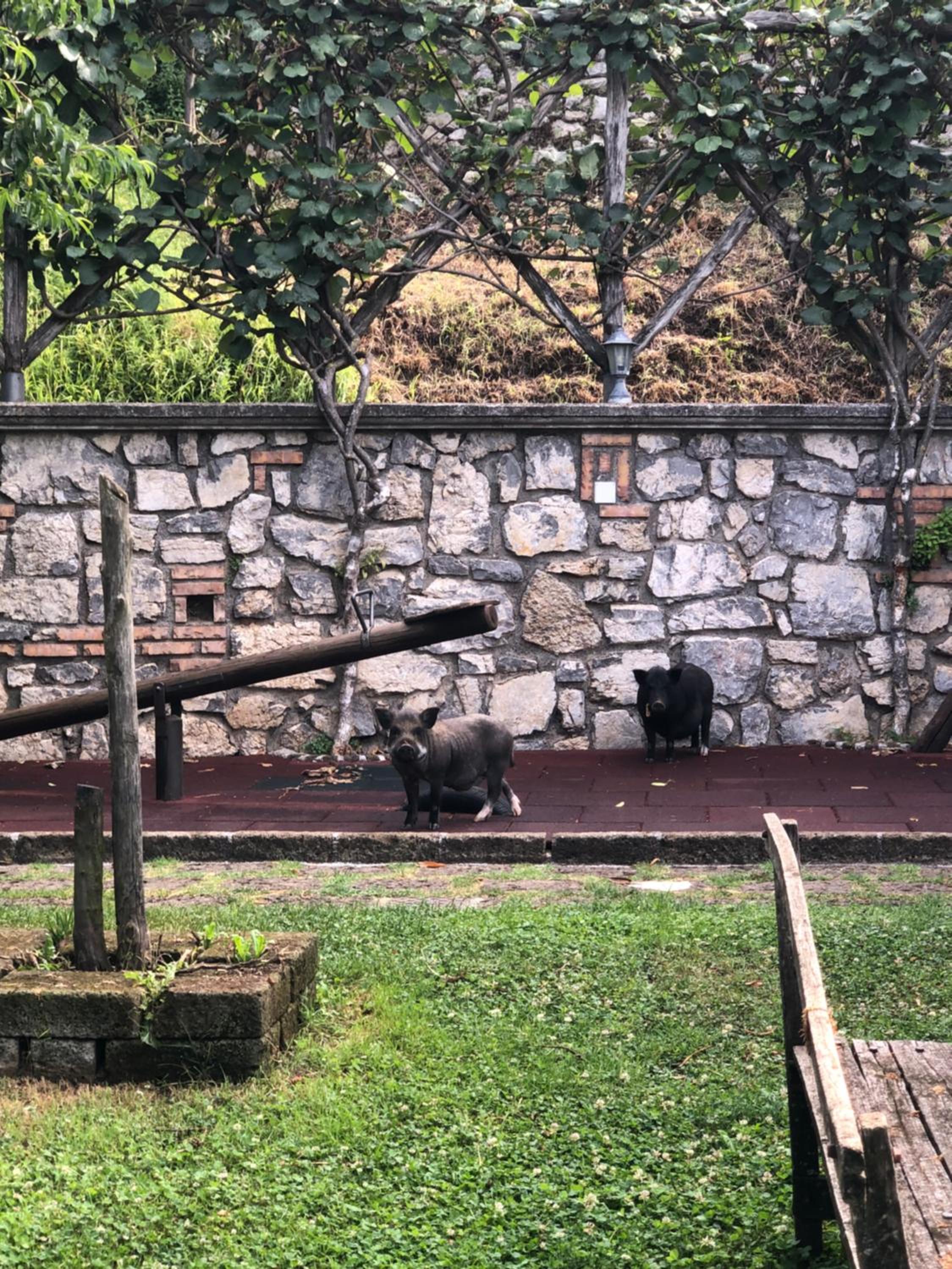 Agriturismo La Baita