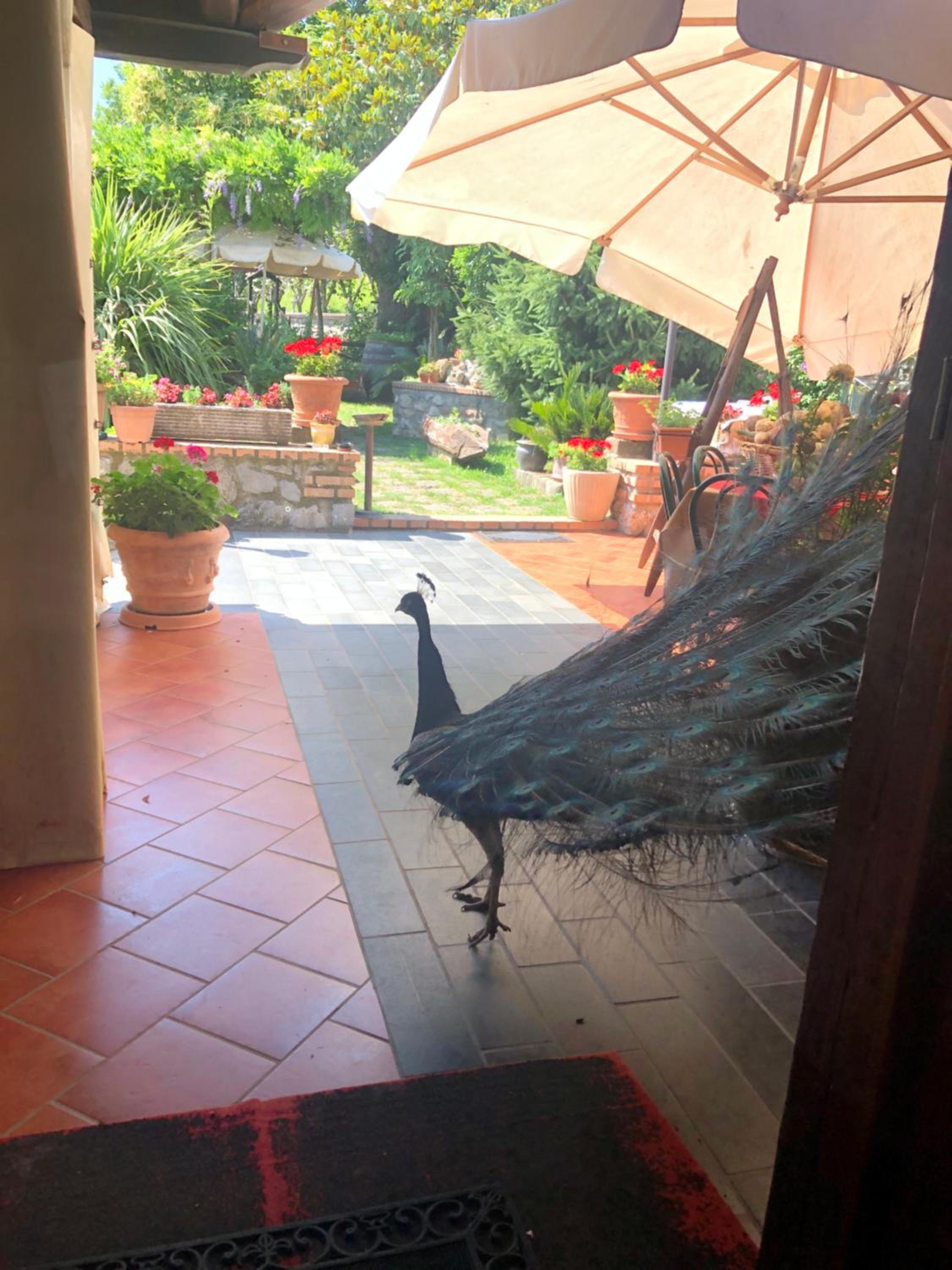 Agriturismo La Baita