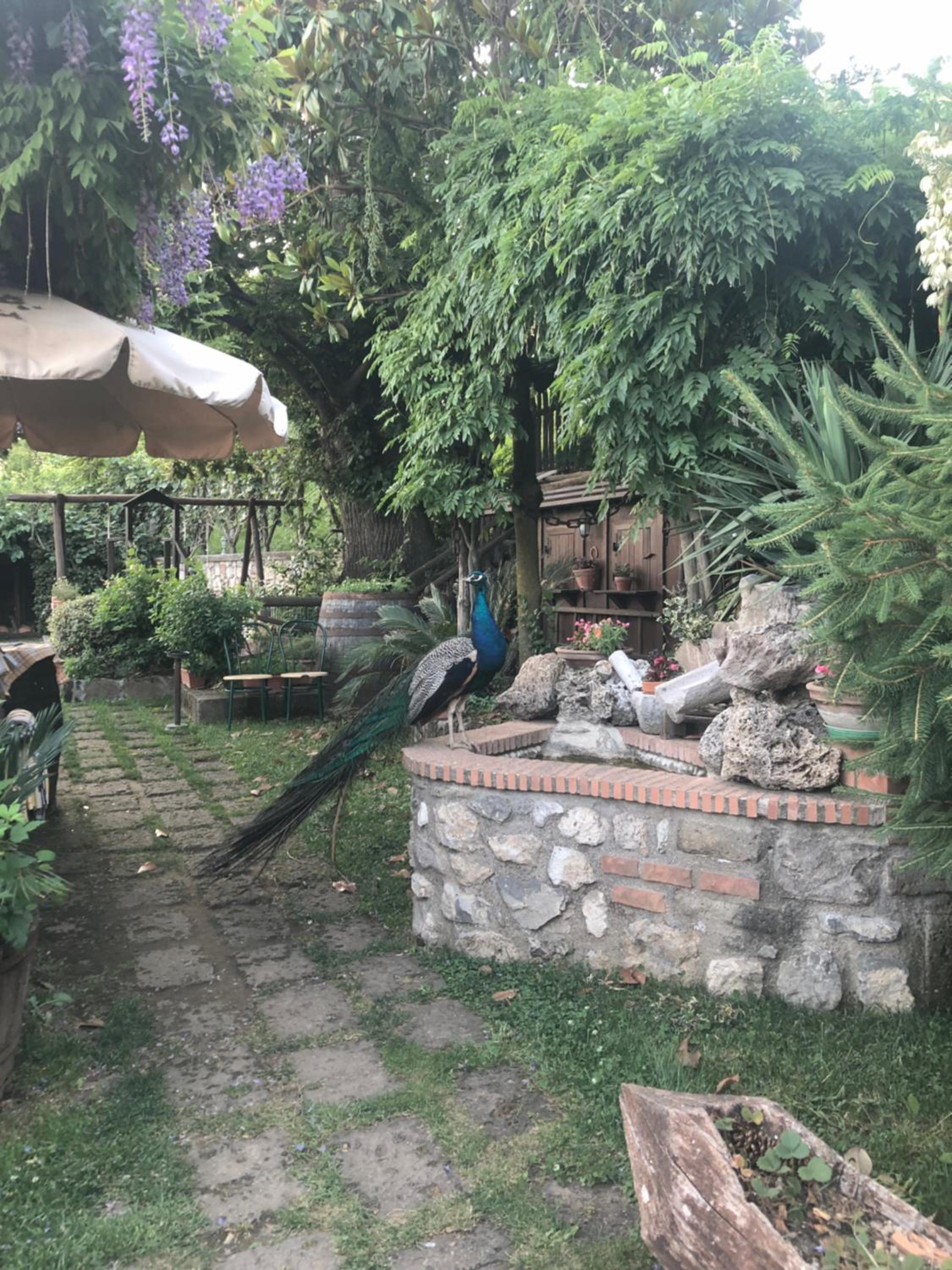Agriturismo La Baita