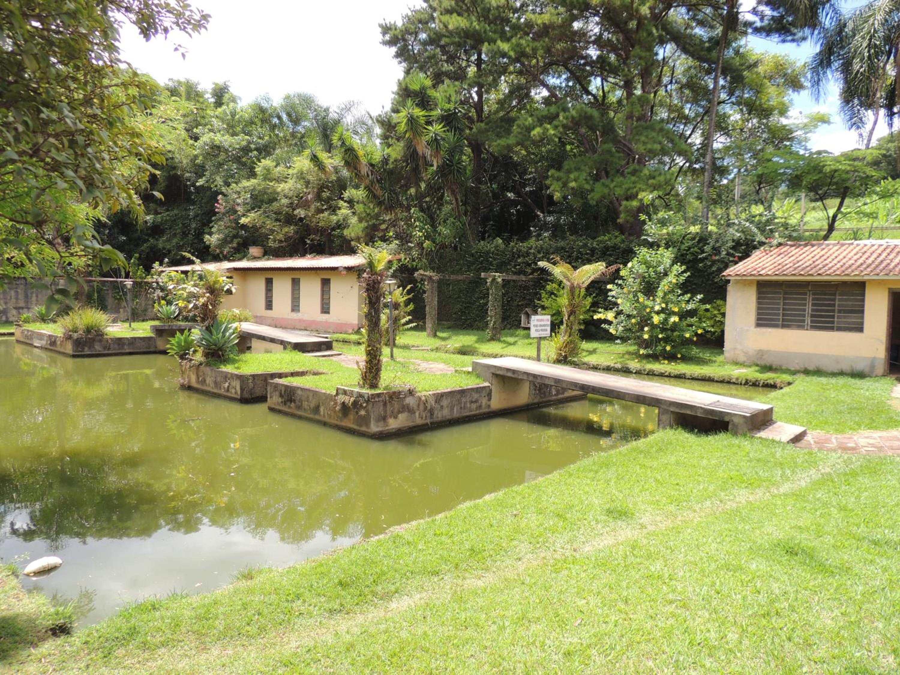 Florescer Campo