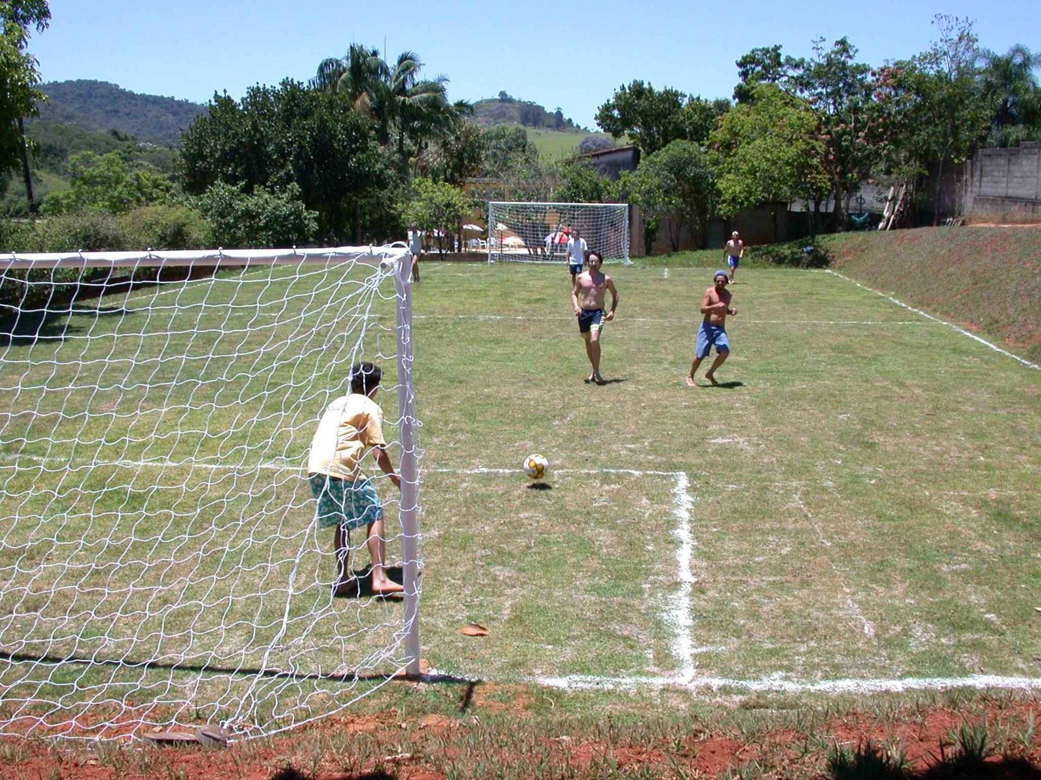 Florescer Campo