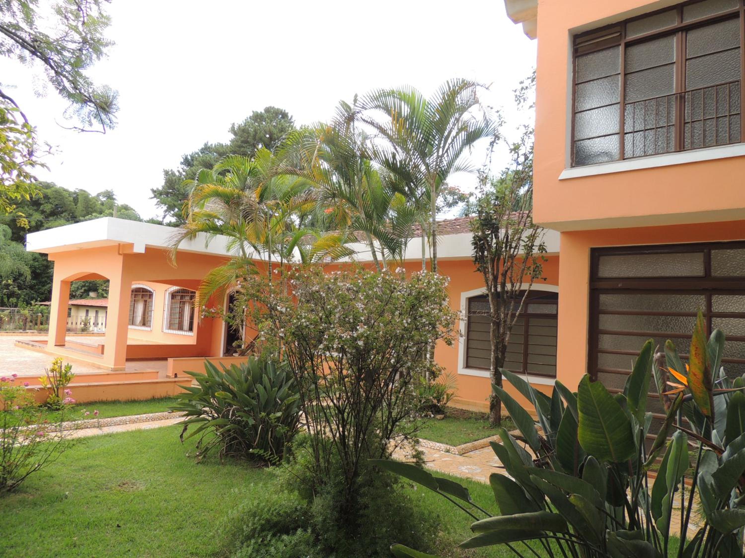 Florescer Campo