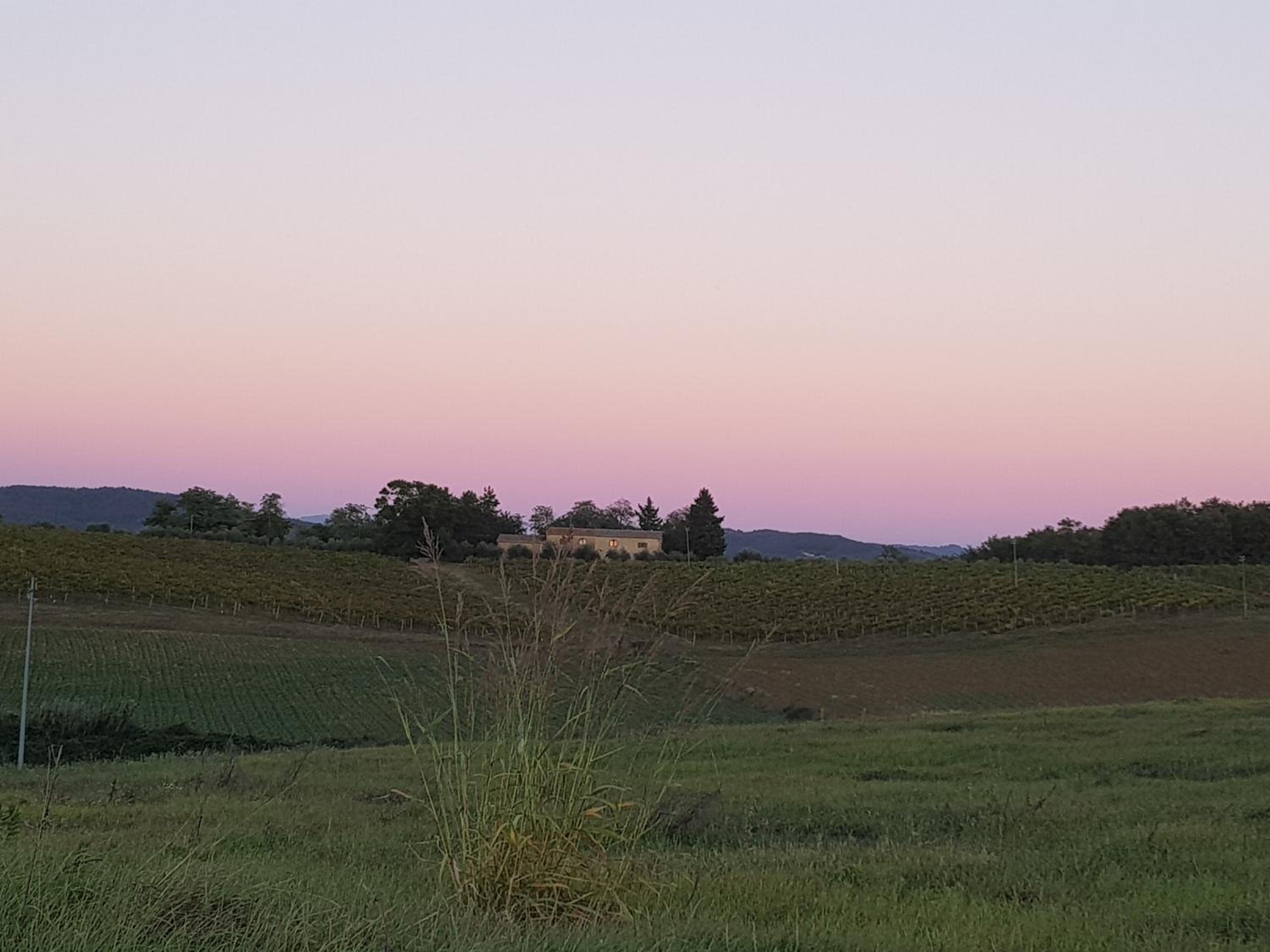 Sweet in Chianti