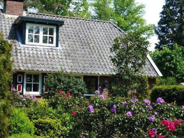 Vakantiewoning Salland view 2