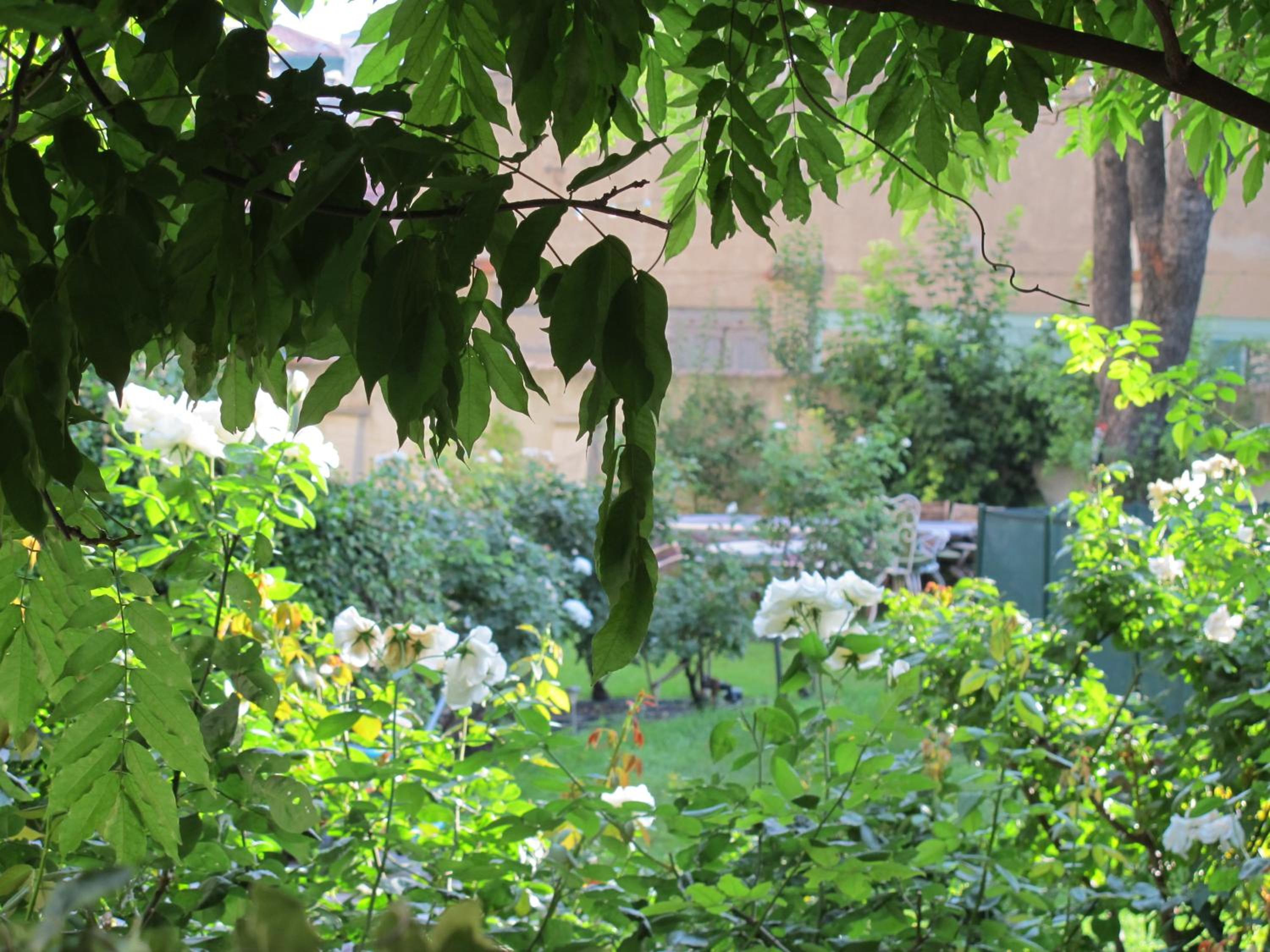 garden