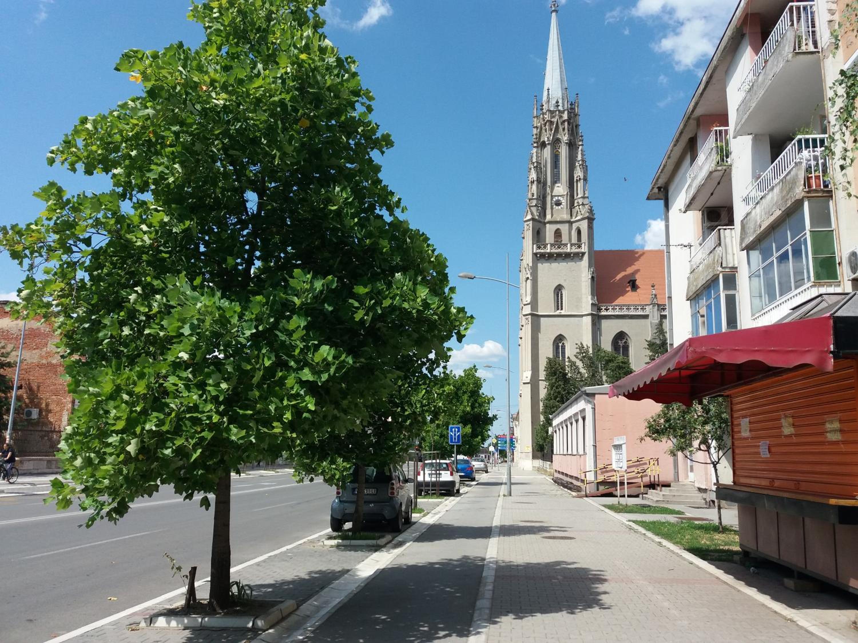 Photo 28
