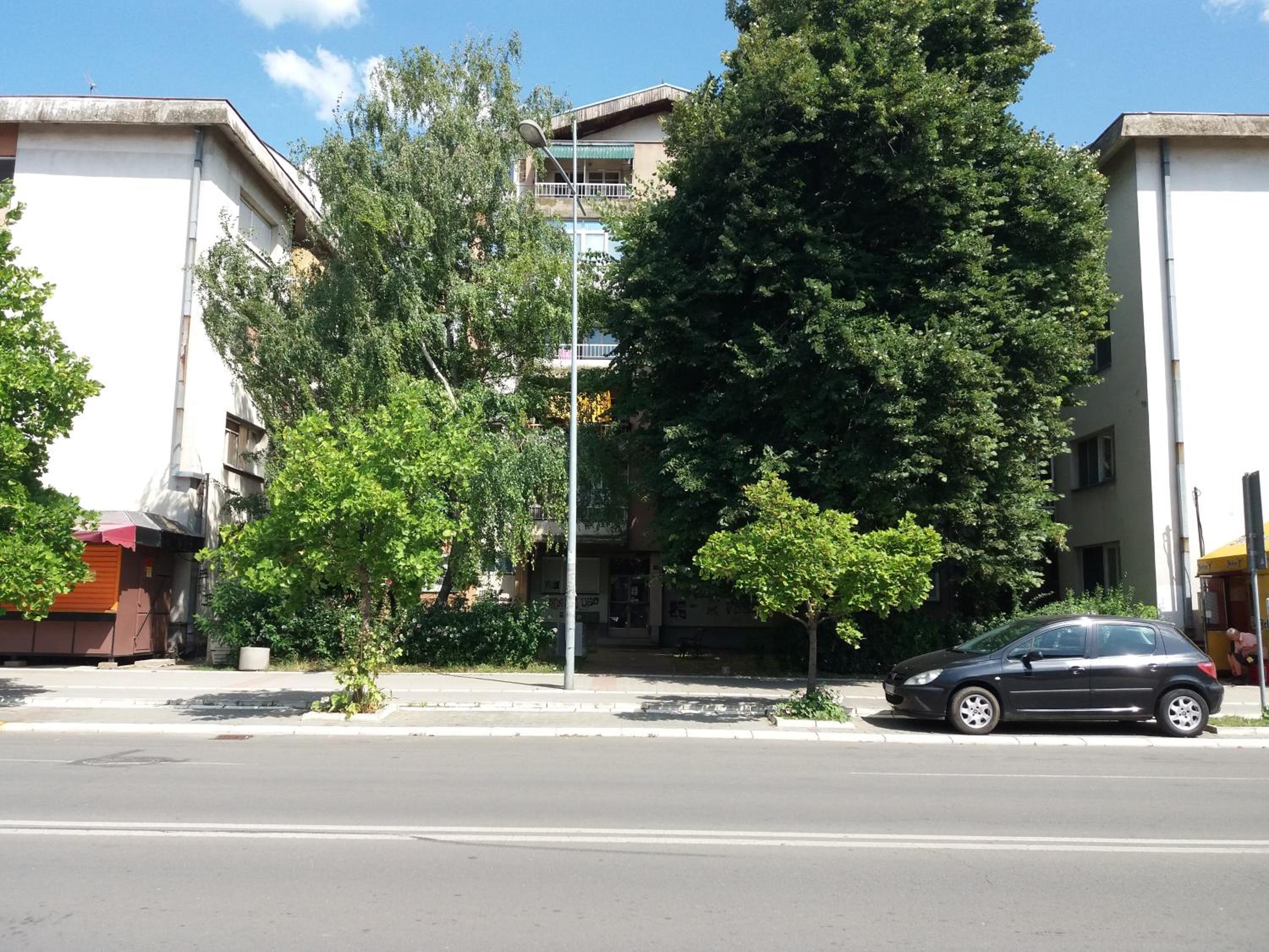 Photo 26