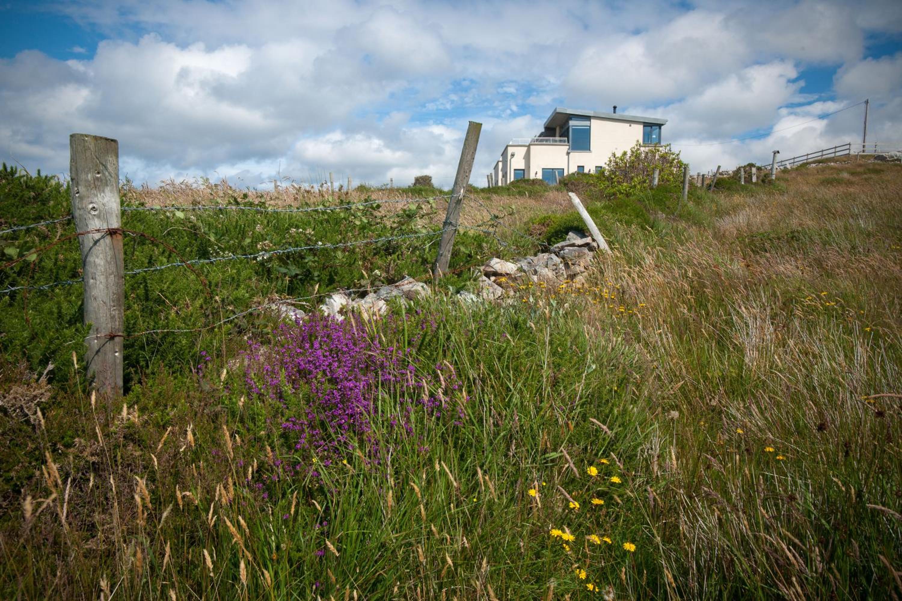 Photo 42