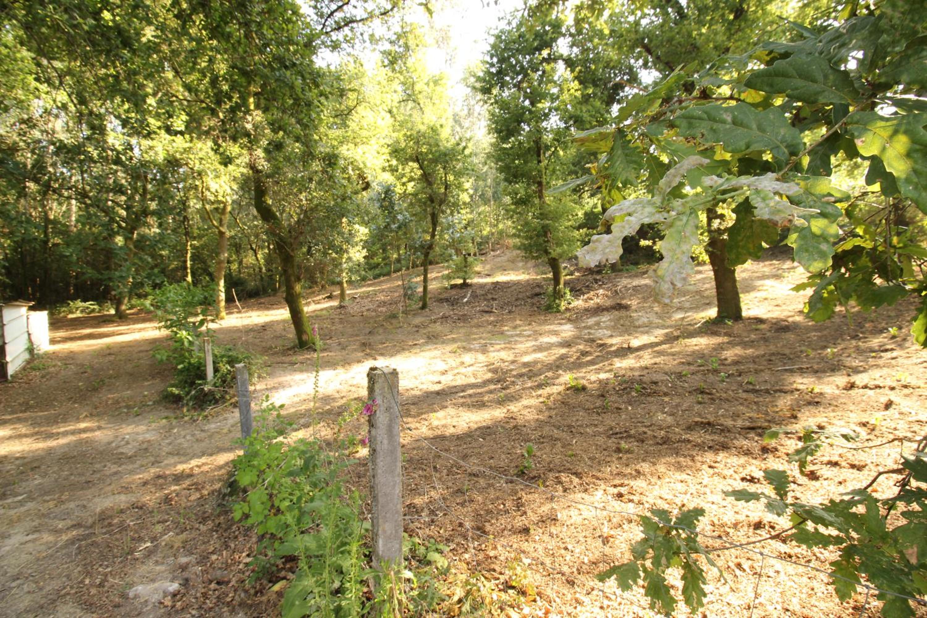 Quinta d'Areda Wine&Pool Experience view 5