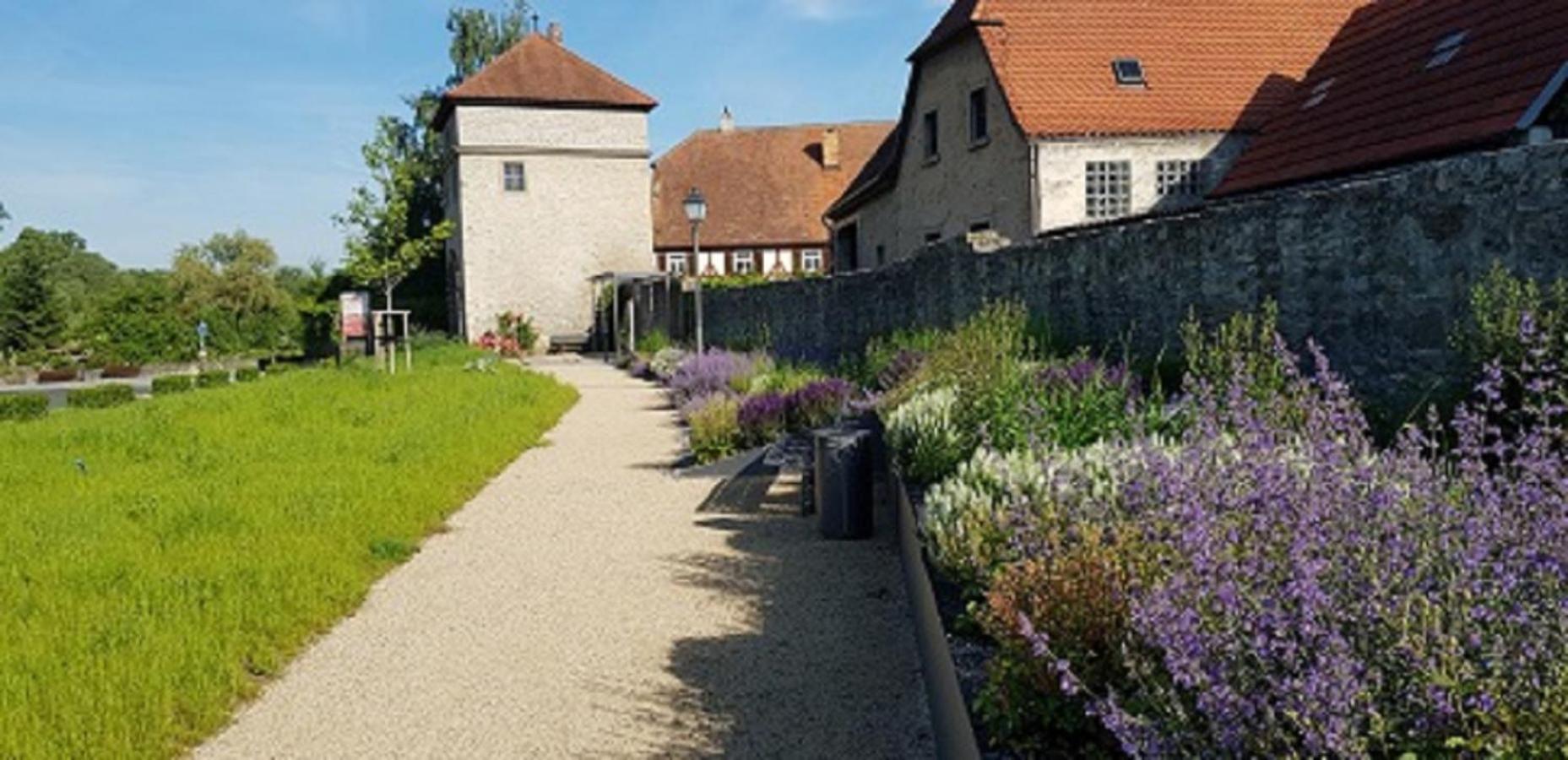 Ferienwohnung An der Dorfmauer view 3