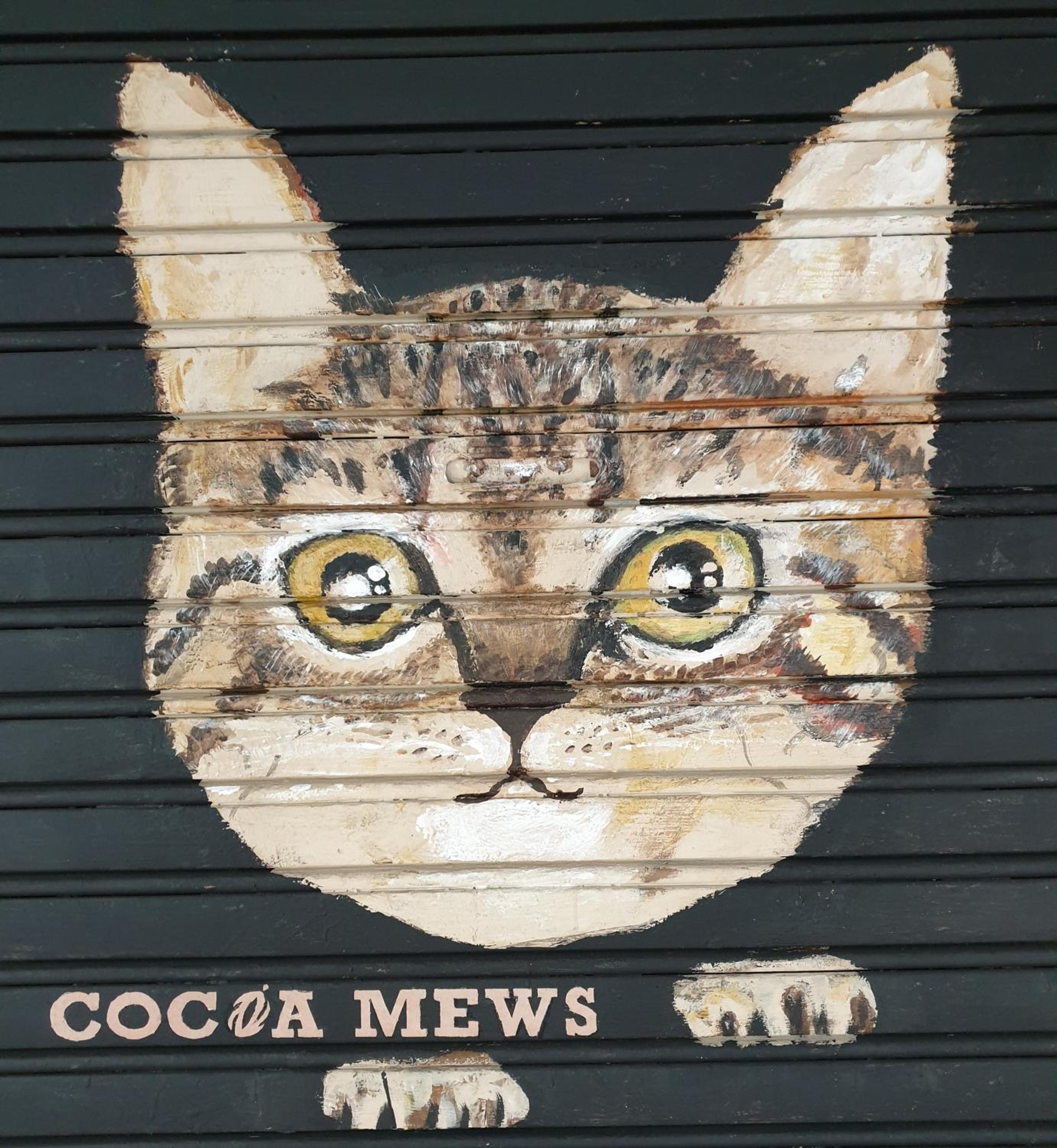Cocoa Mews Cafe and Homestay