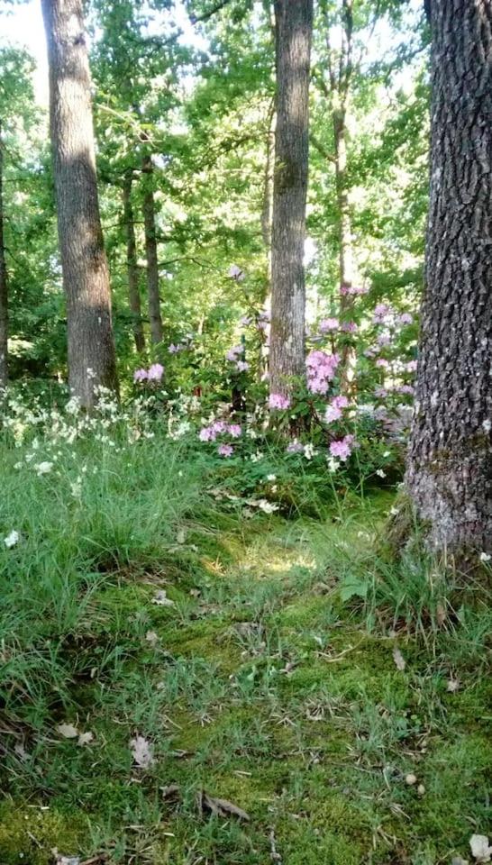 Chalet Siësta is rust & natuur in Barvaux Durbuy