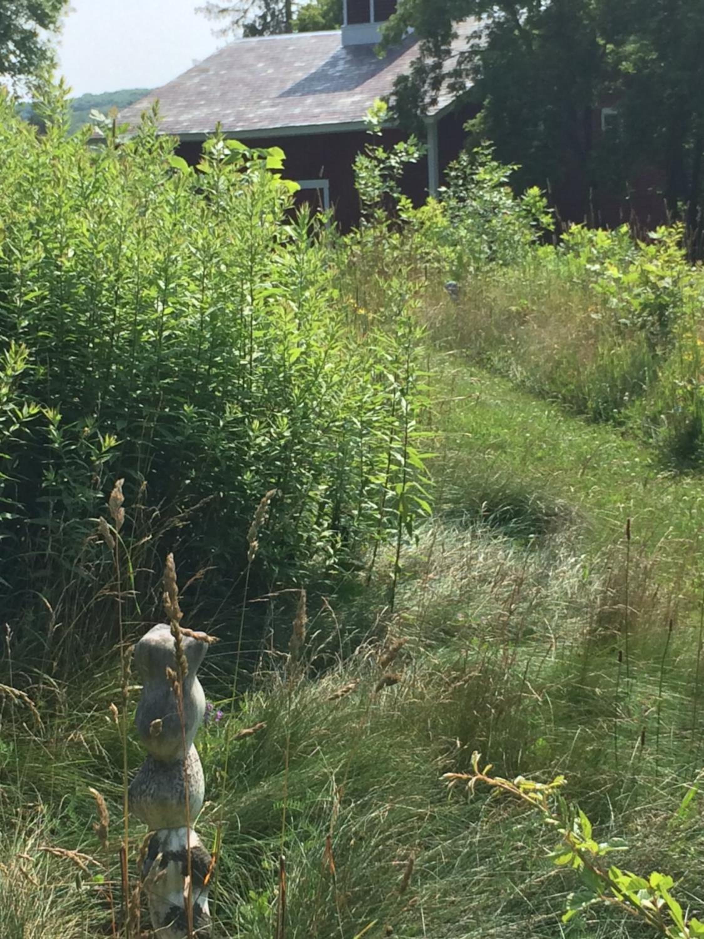 Rutland Vacations - Antique Mansion B  B - Property Image 32