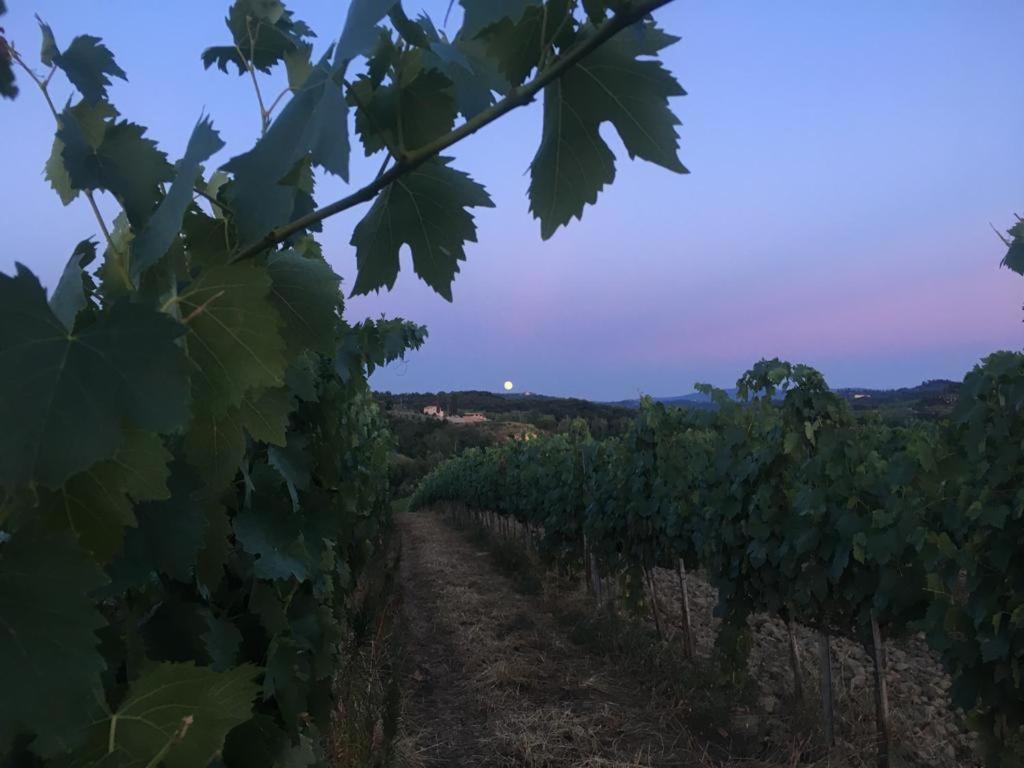 Teruzzi Country House view 3