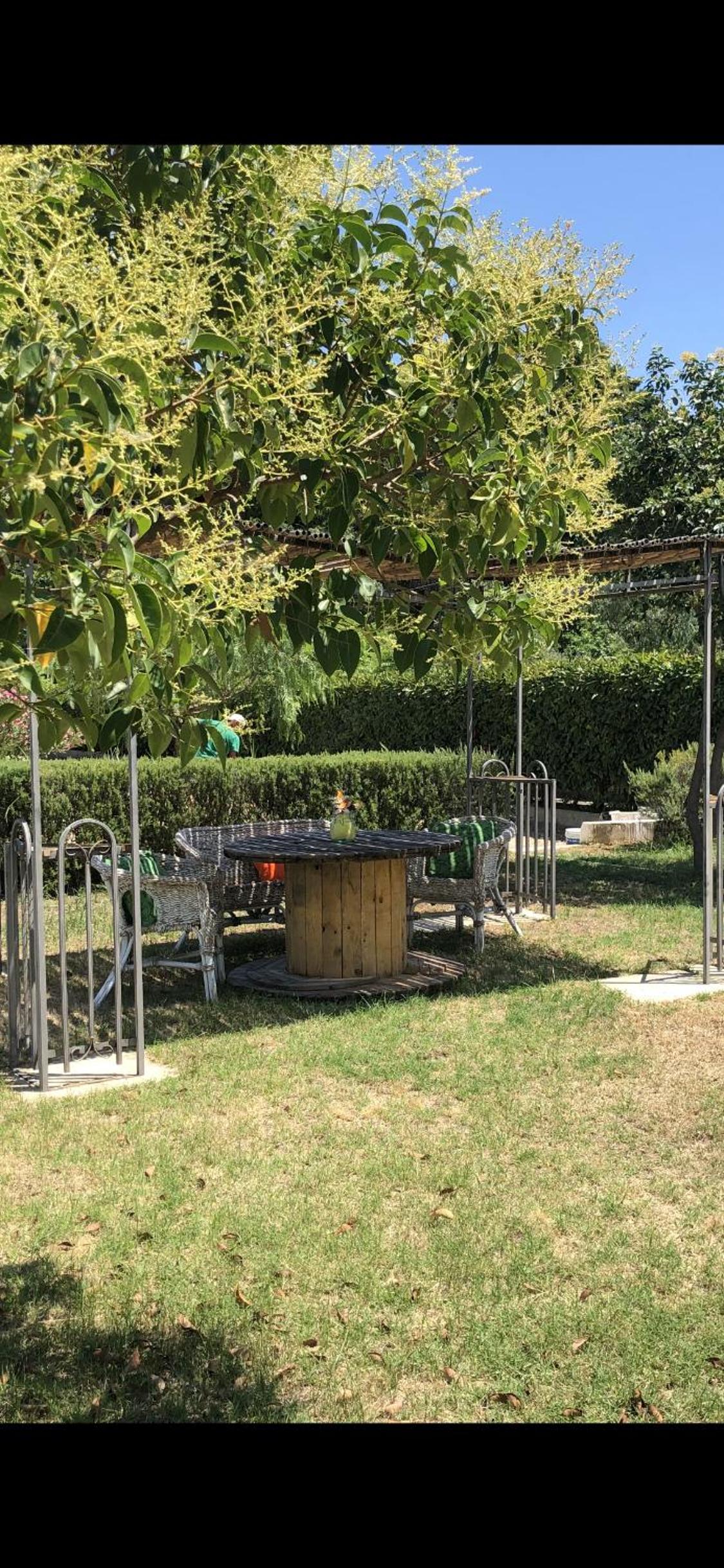children's play area