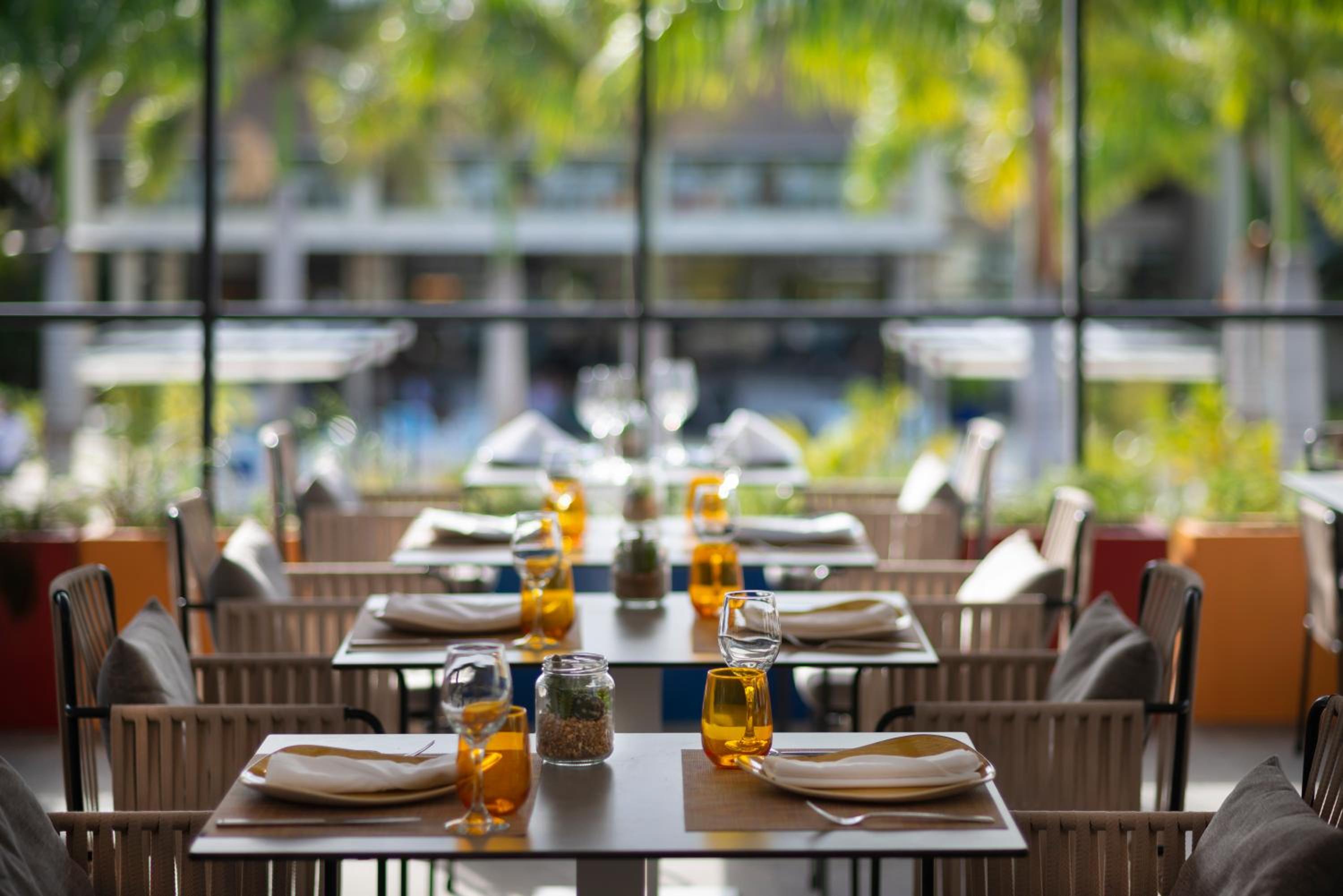 Catalonia Royal La Romana Adults Only - All Inclusive - Property Image 40