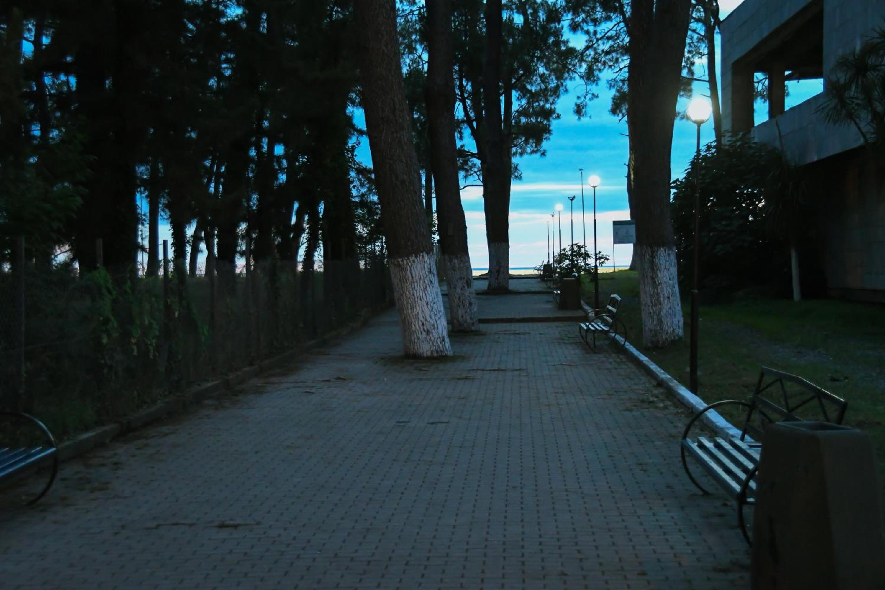 Photo 11