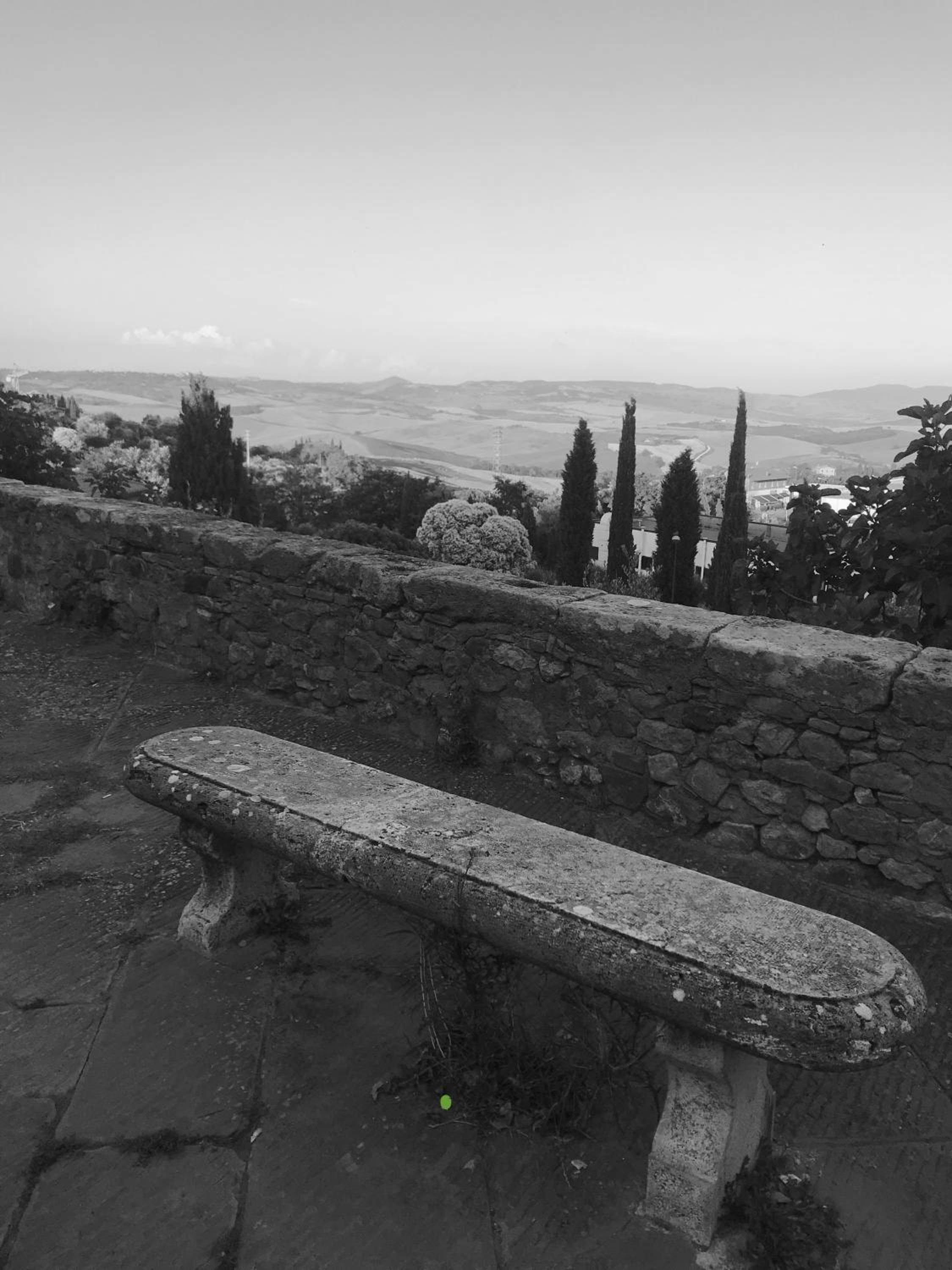 Photo 50