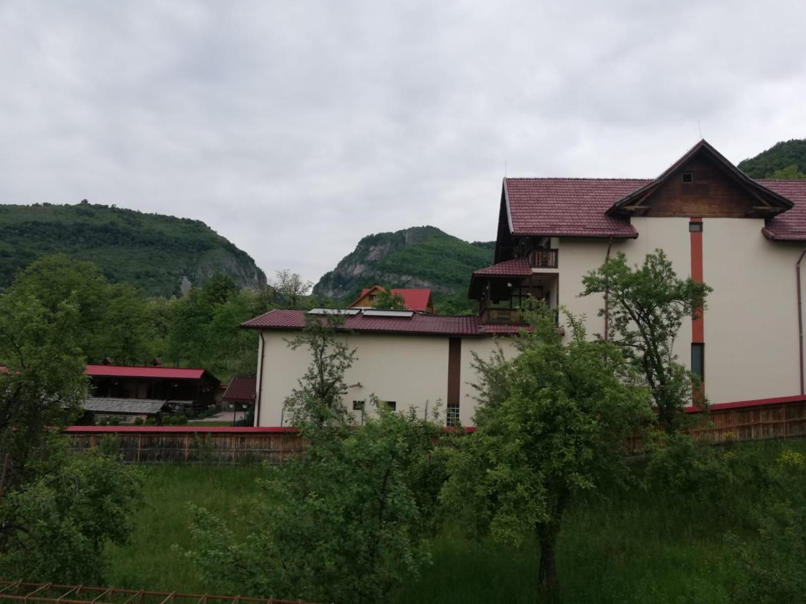 Photo 44