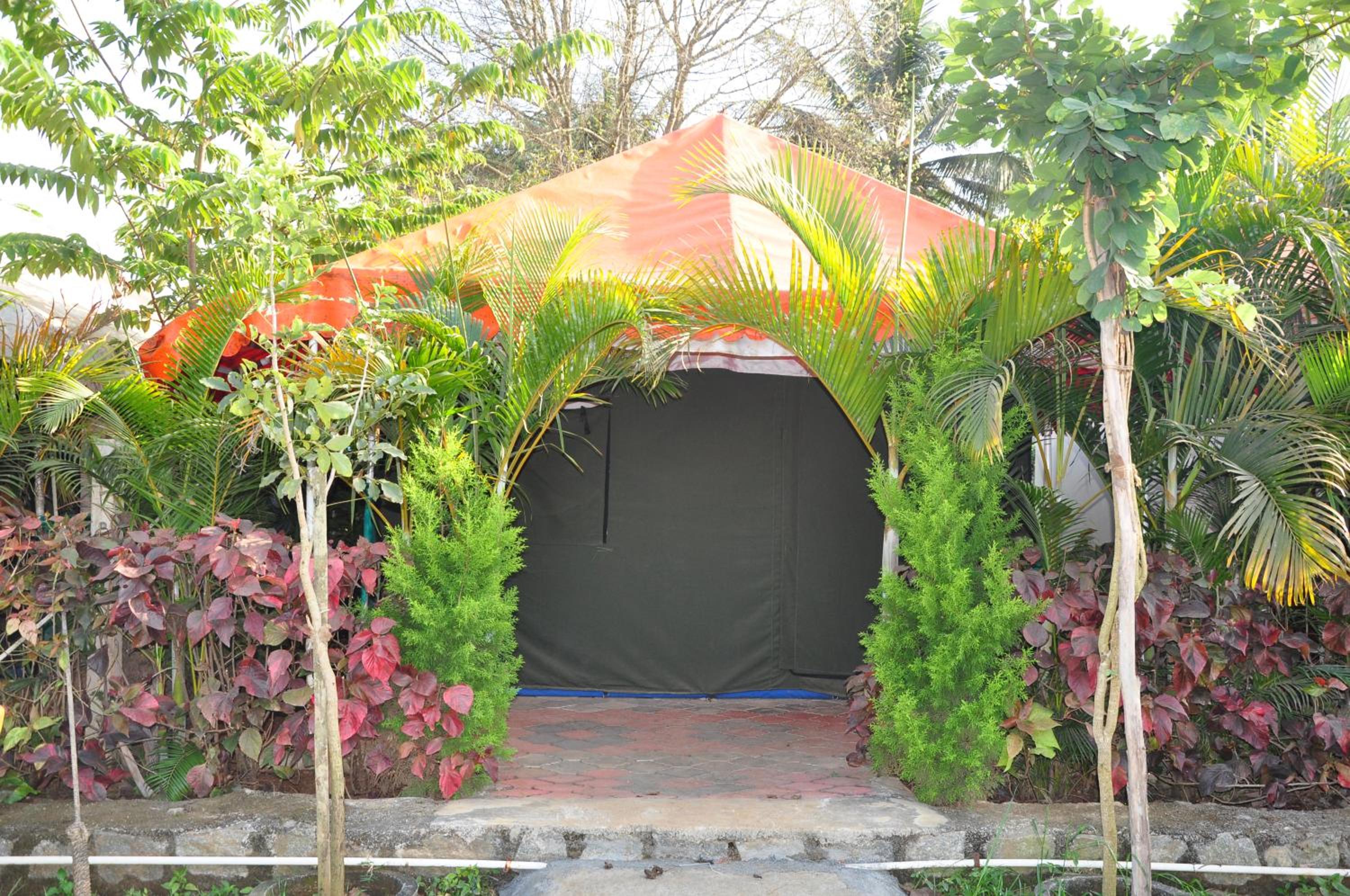 Coorg Adventures Tent Stay AND SPA view 5