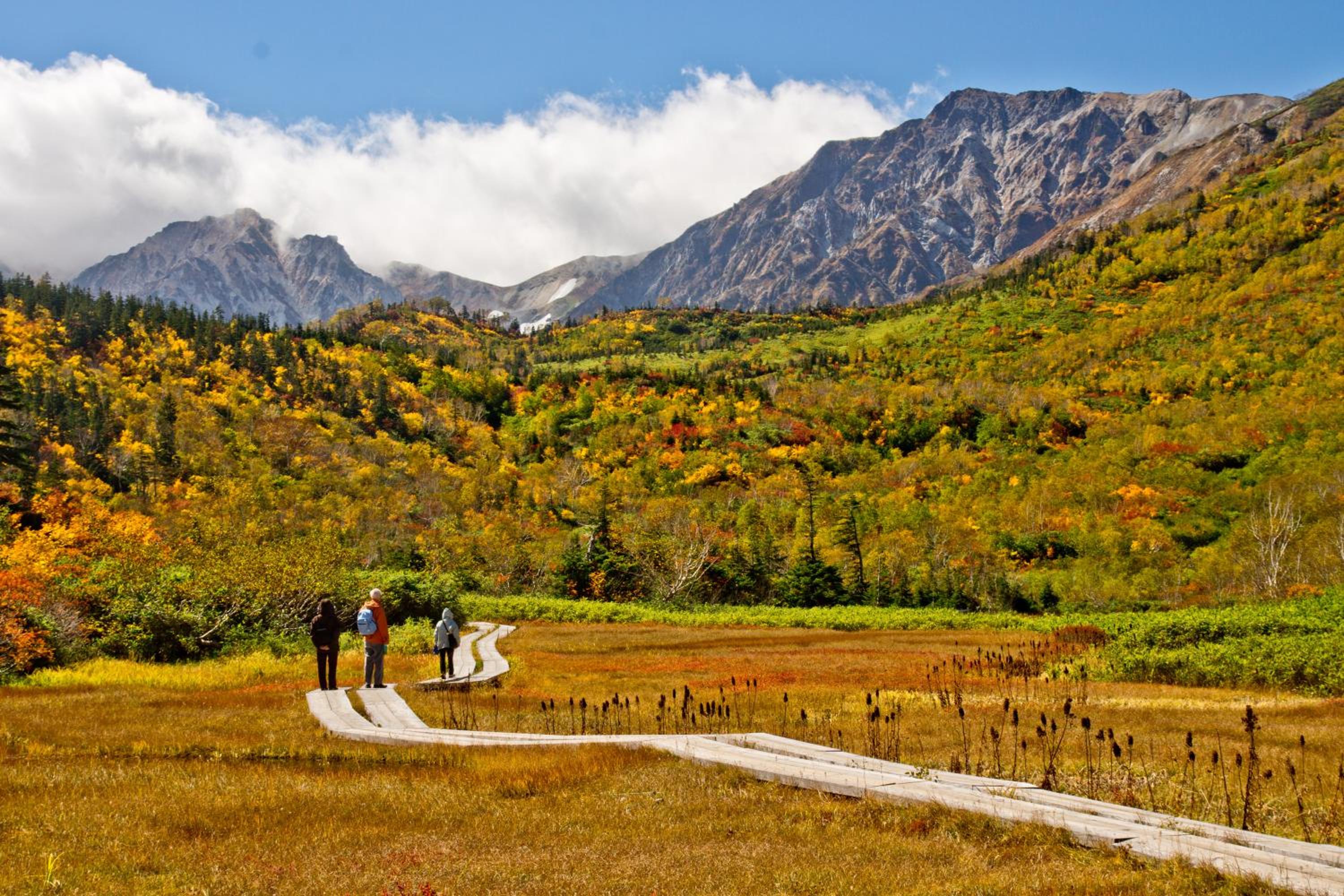Schole Hakuba
