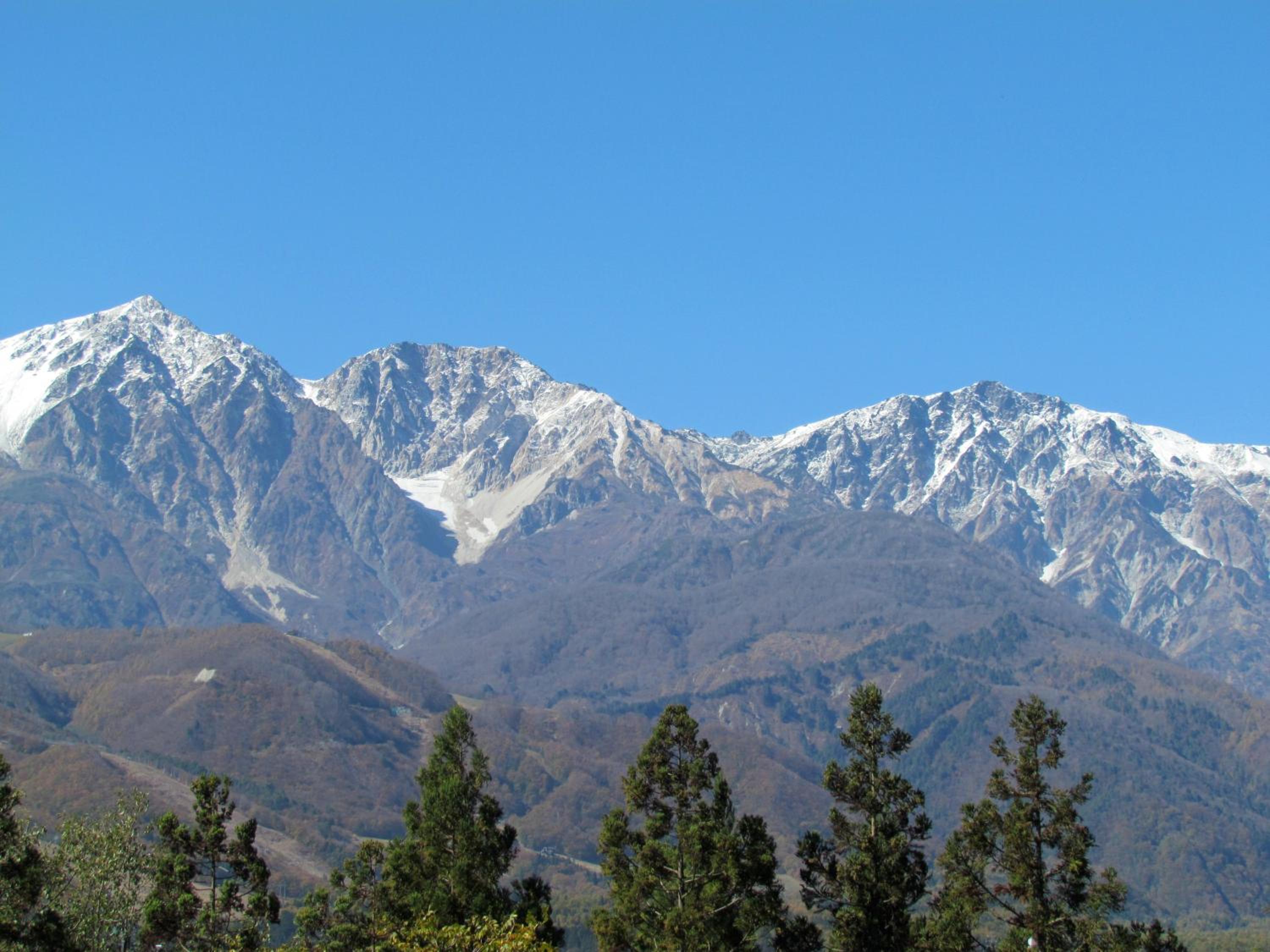Schole Hakuba