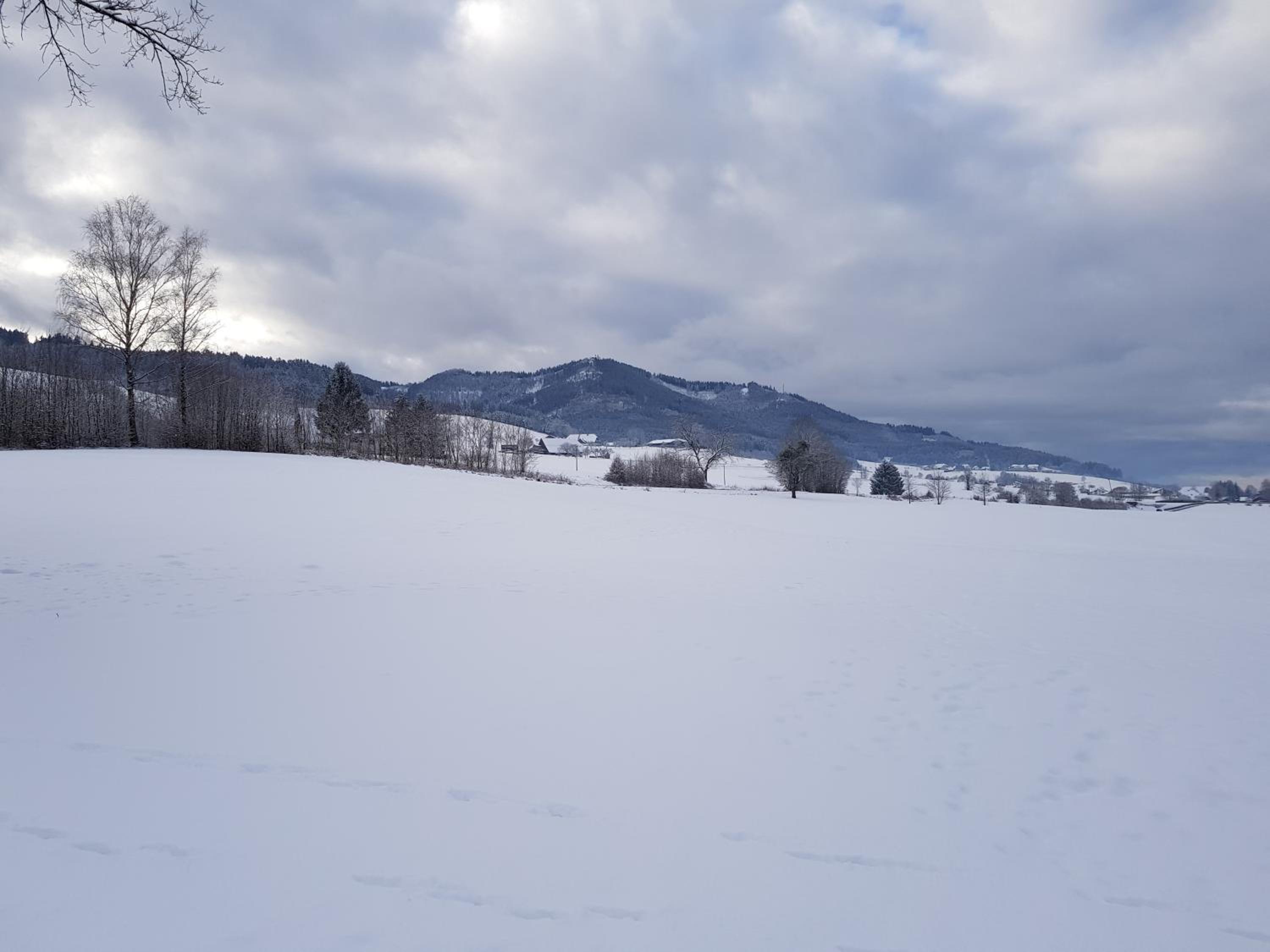 other